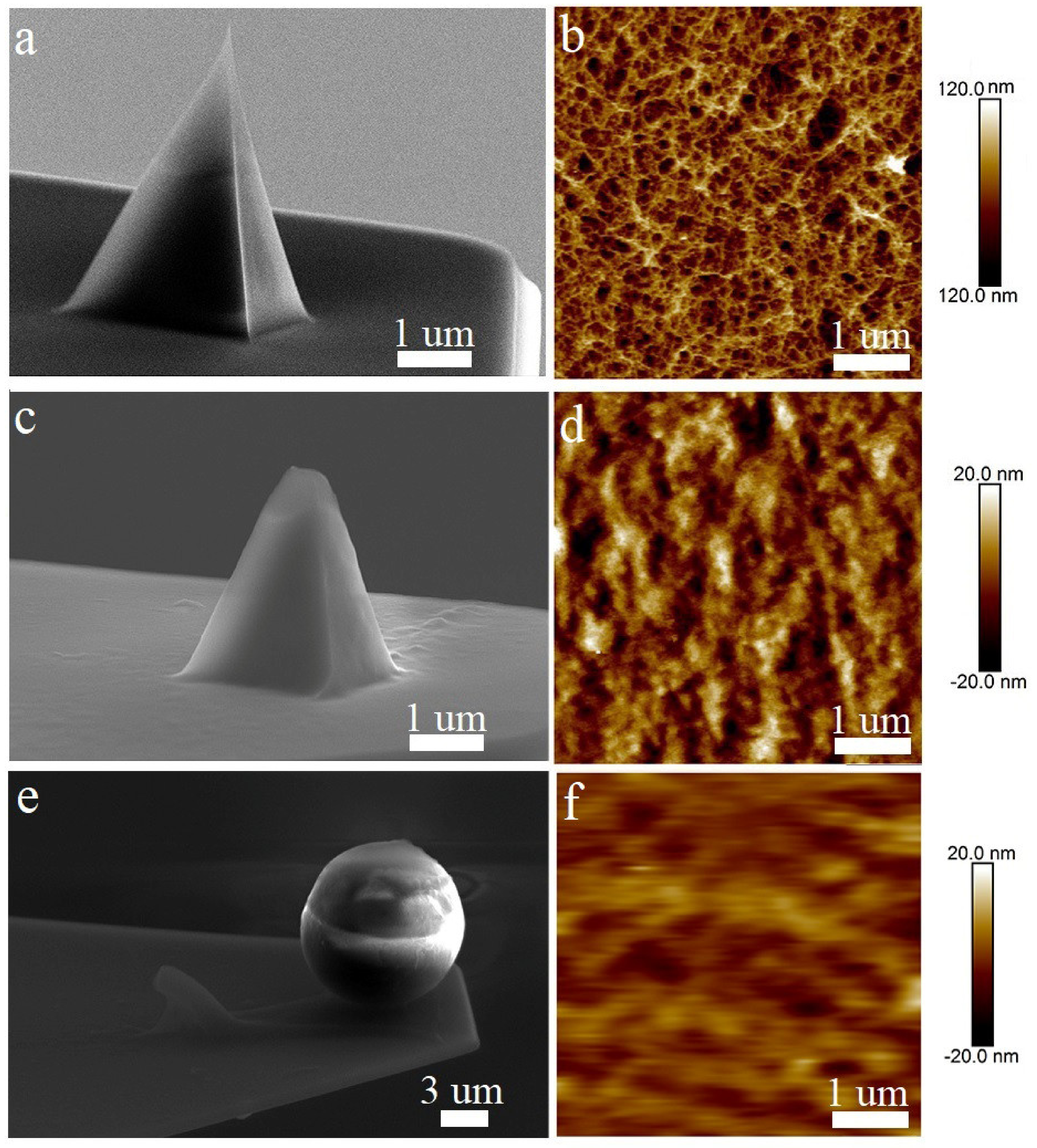 Biomedicines 10 01742 g003 Biomedicines 10 01742 g003