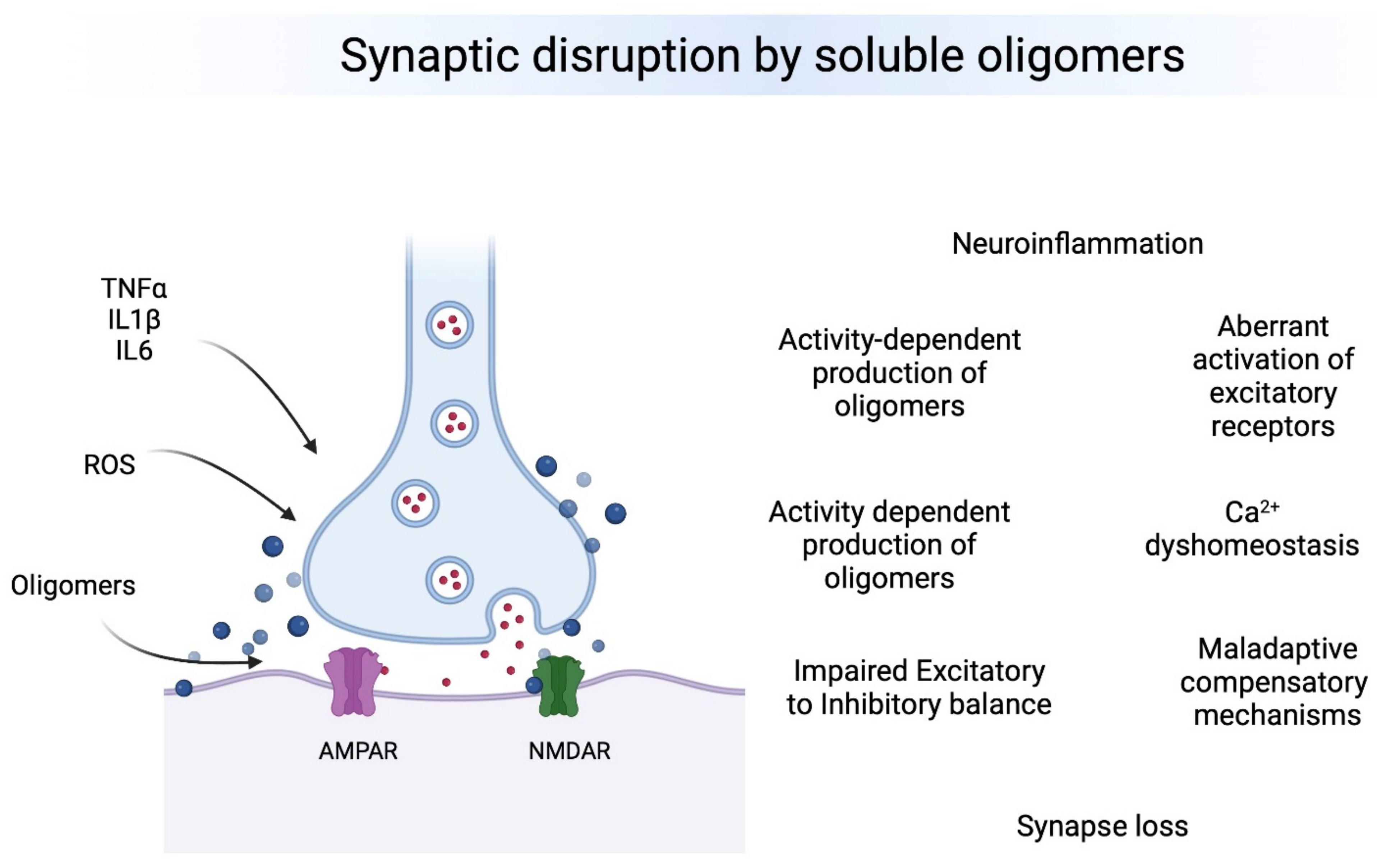 Biomedicines 10 01743 g001