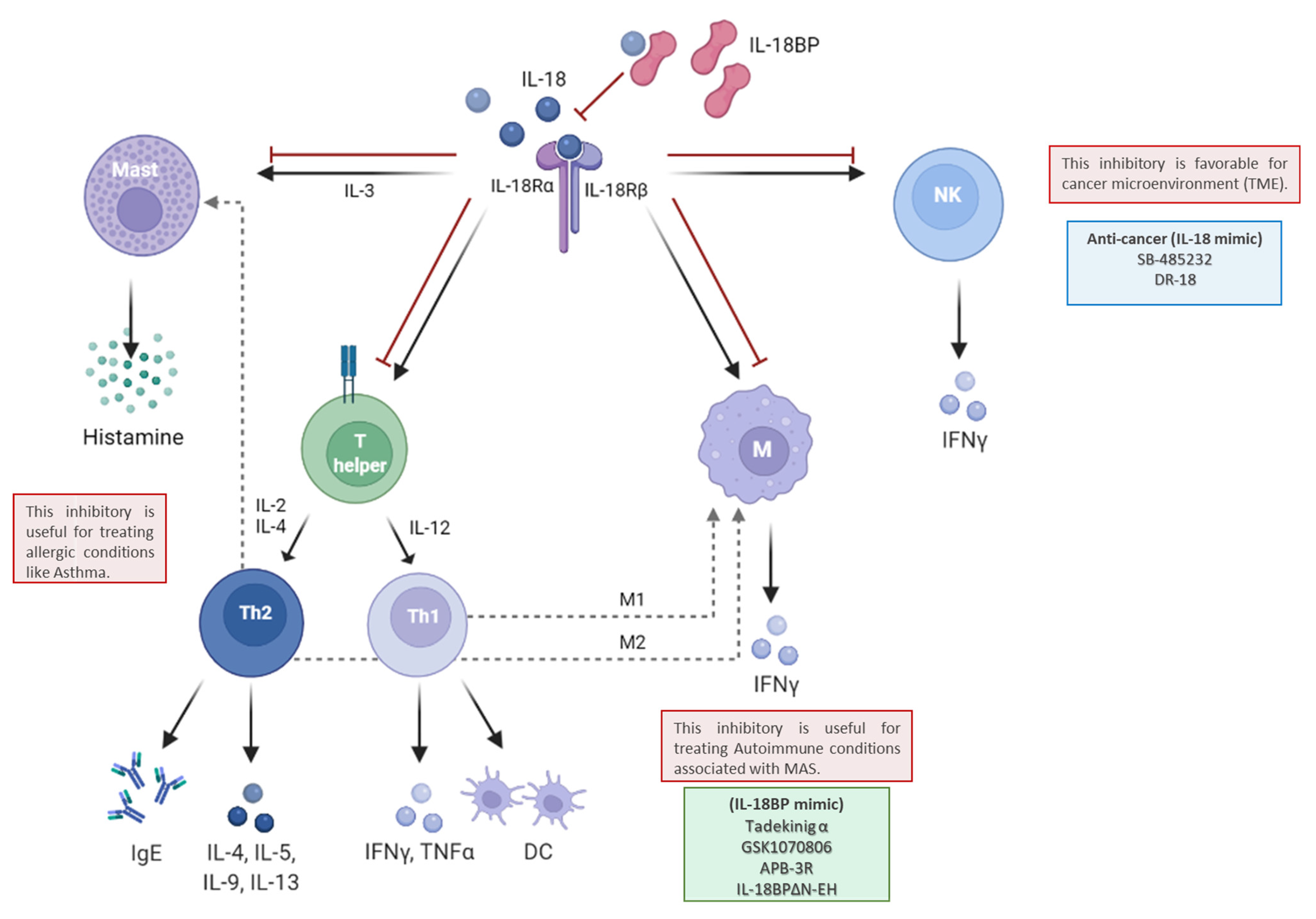 Biomedicines 10 01750 g004 Biomedicines 10 01750 g004