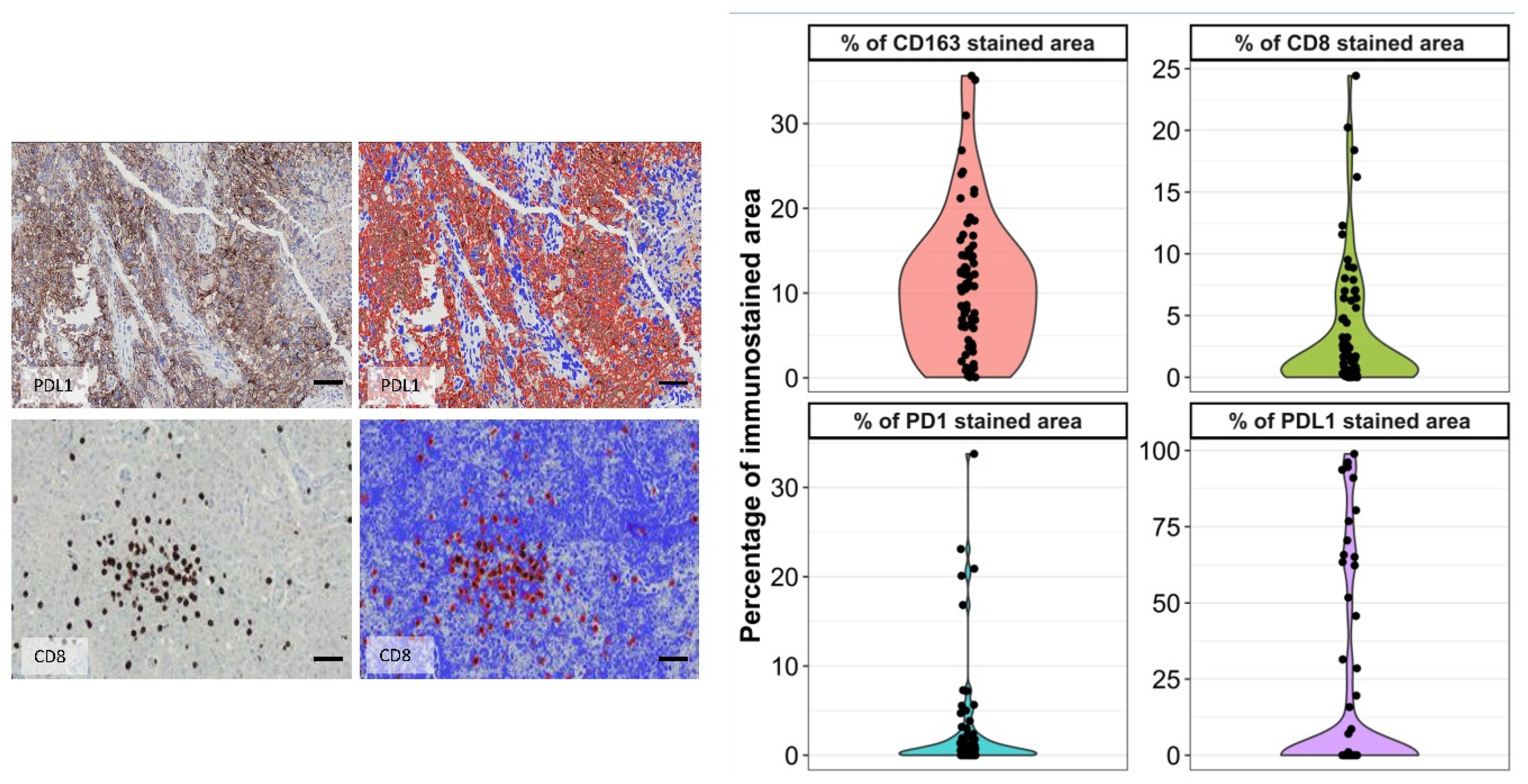 Biomedicines 10 01753 g003