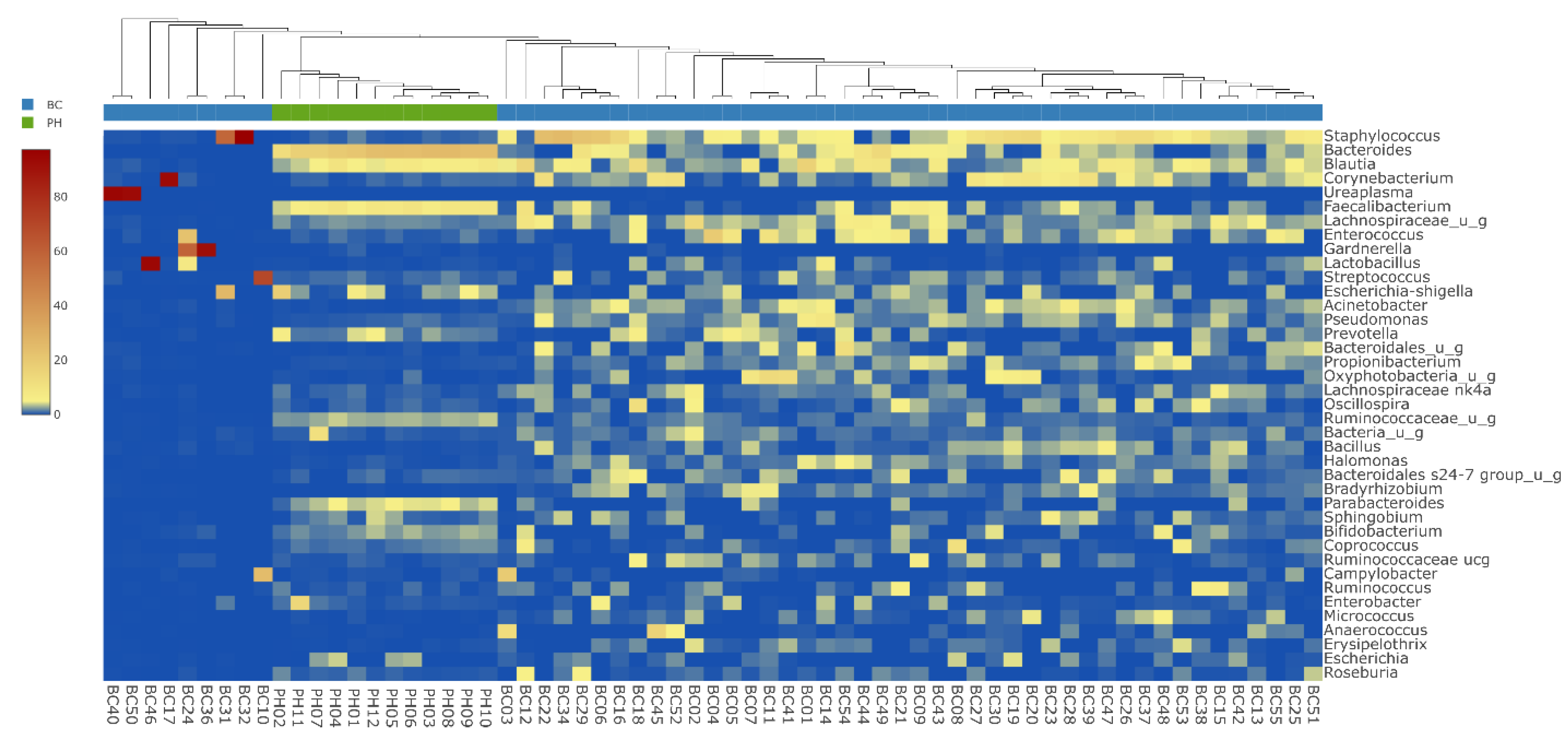 Biomedicines 10 01758 g002 550