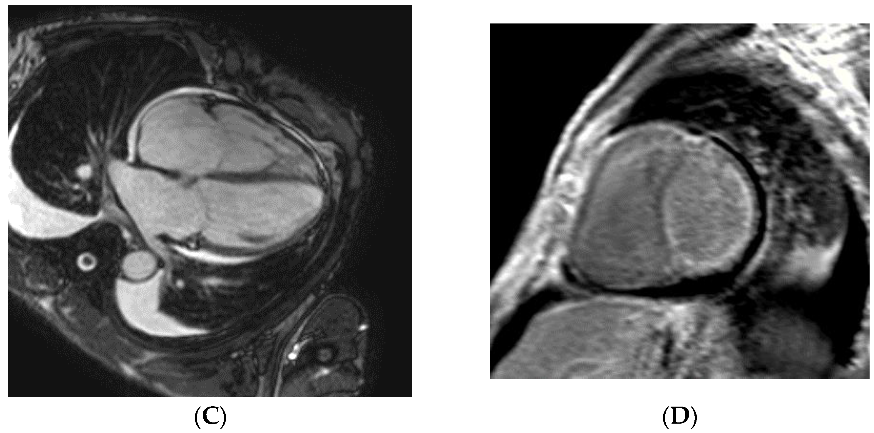 Biomedicines 10 01765 g001b