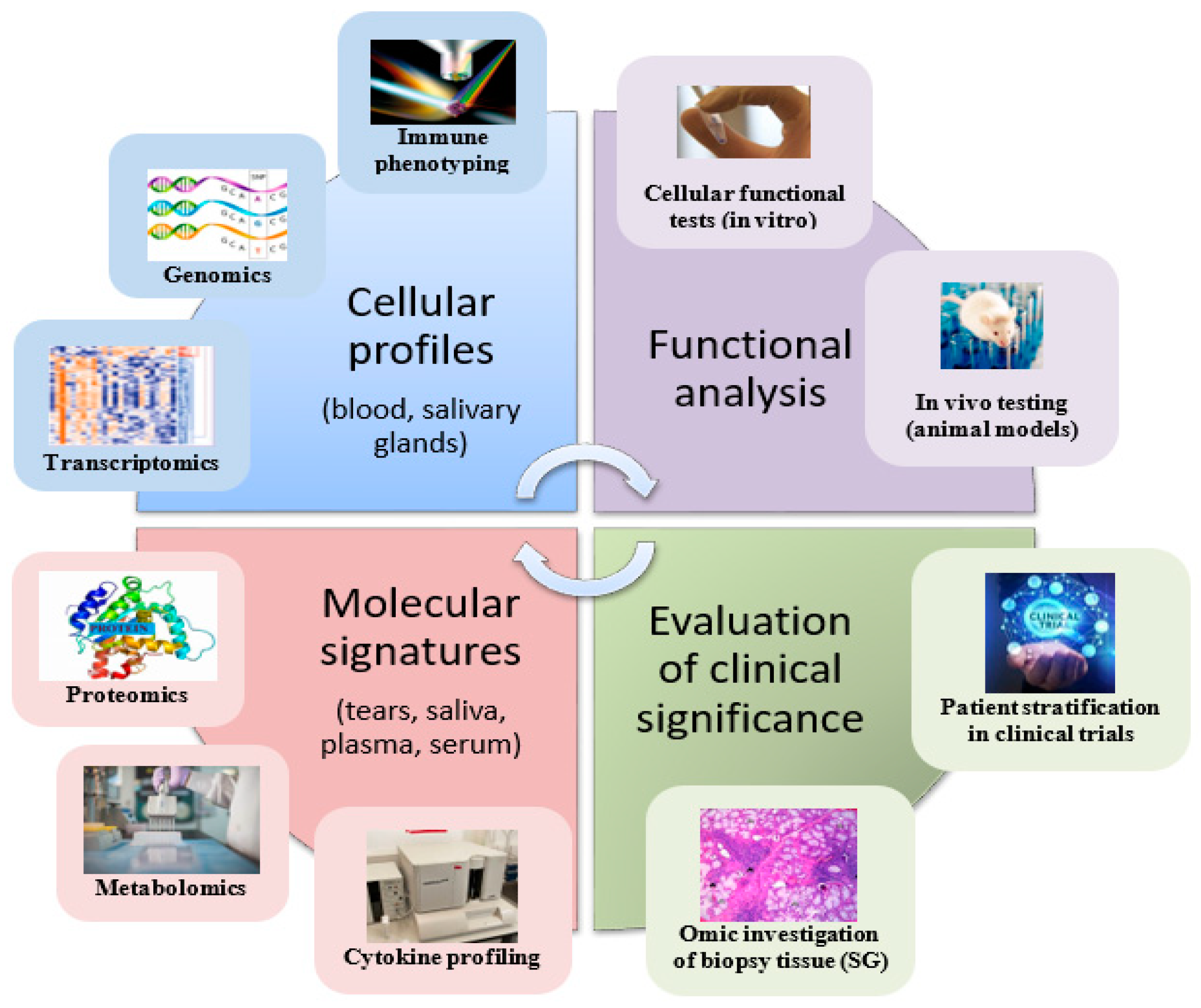Biomedicines 10 01773 g001 550