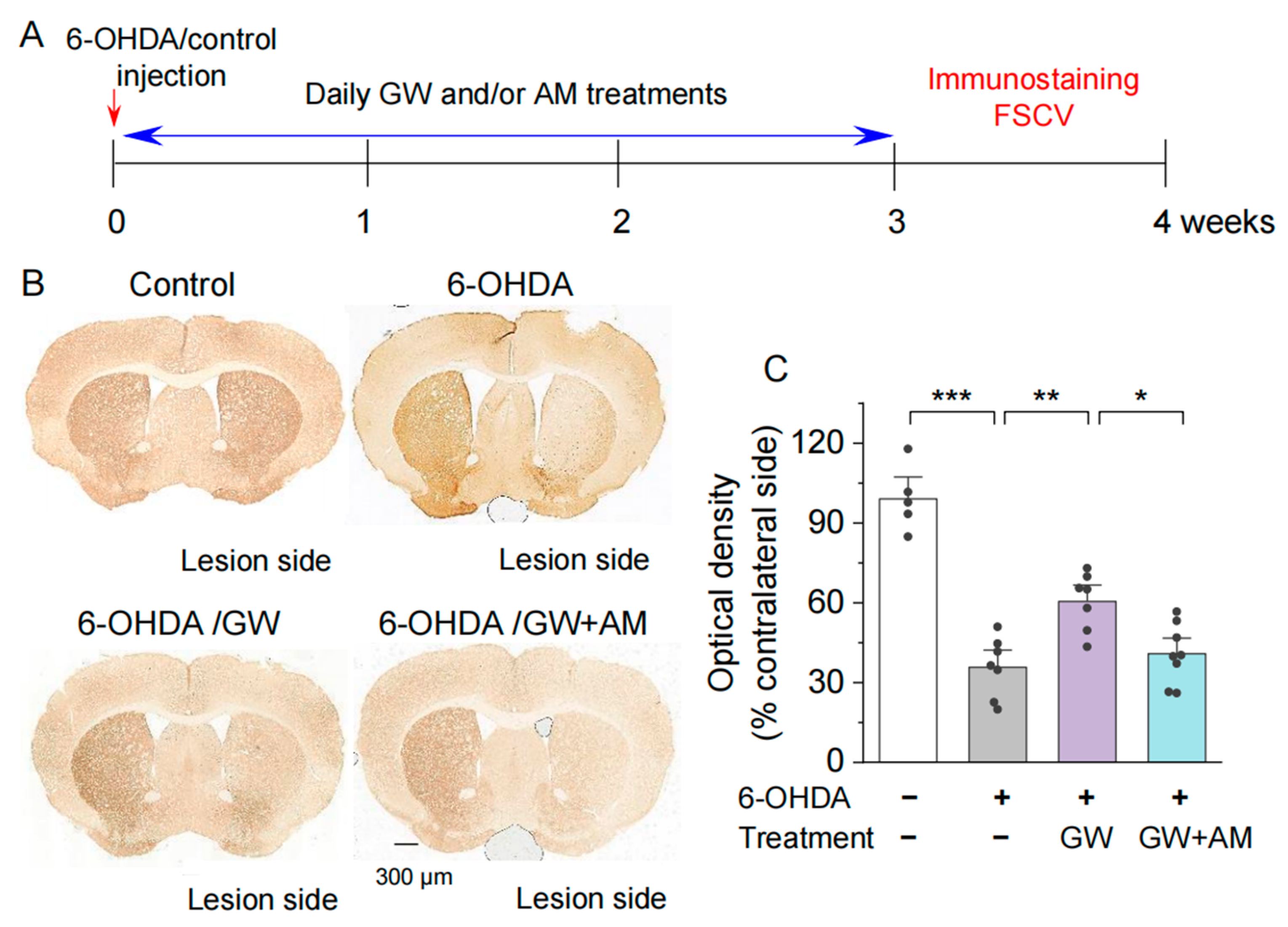 Biomedicines 10 01776 g002