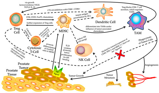 The Immunotherapy and Immunosuppressive Signaling in Therapy