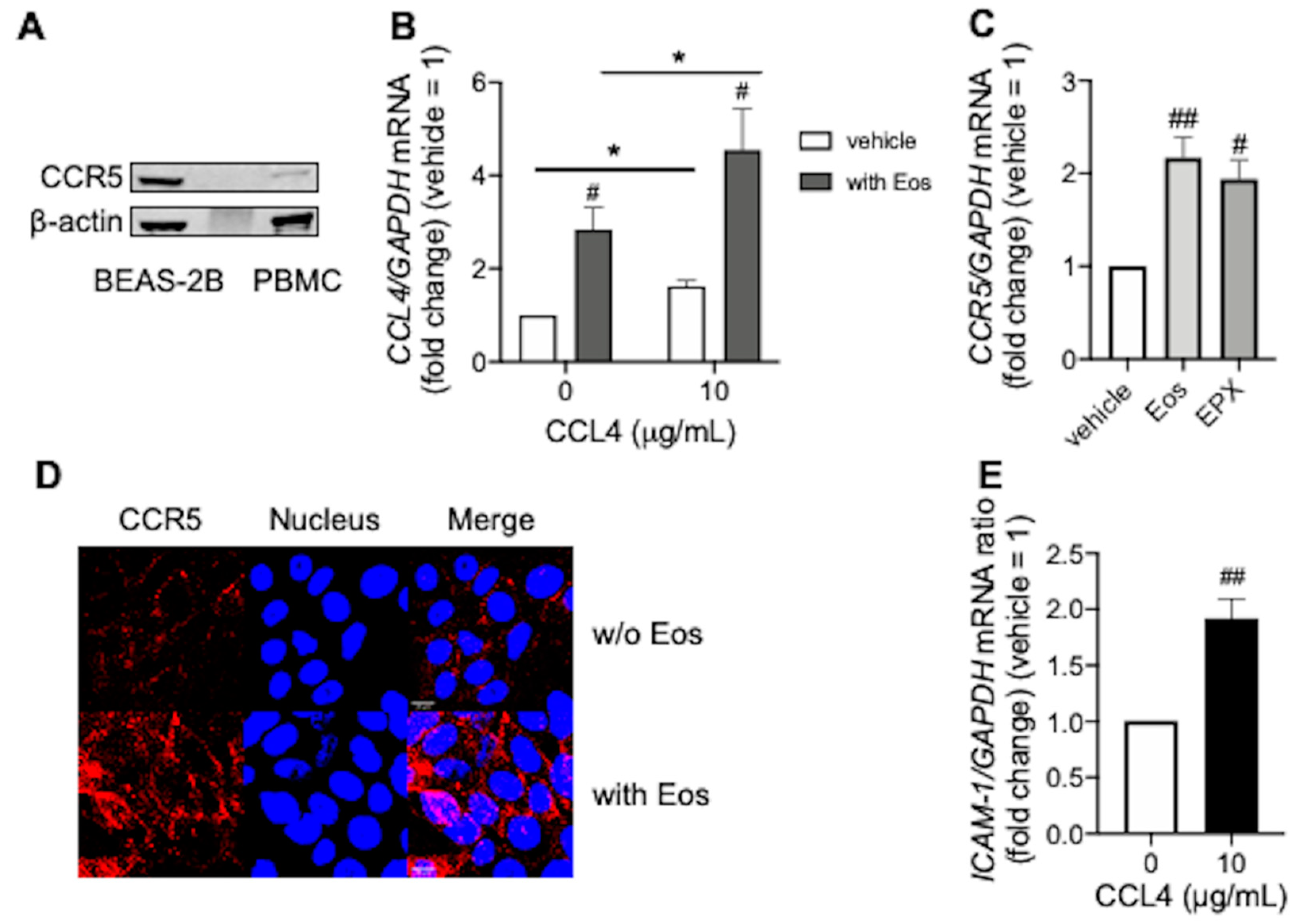 Biomedicines 10 01779 g003