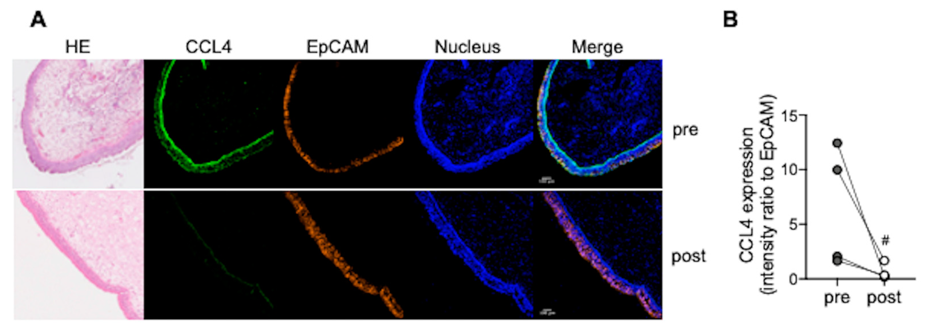 Biomedicines 10 01779 g004