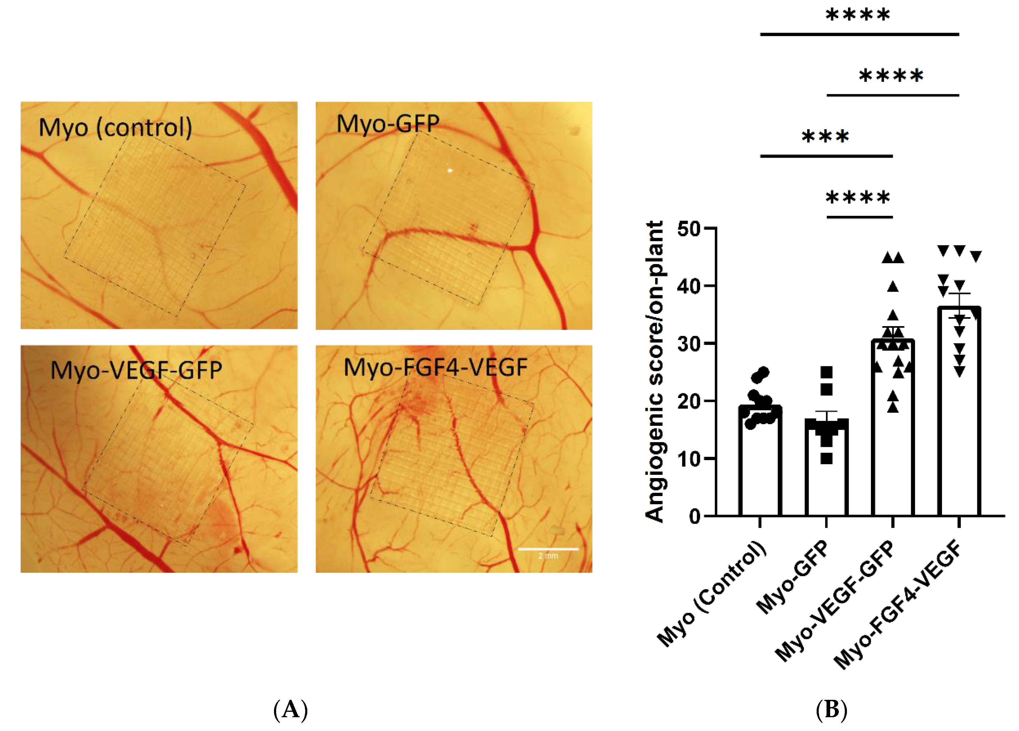 Biomedicines 10 01781 g005 Biomedicines 10 01781 g005