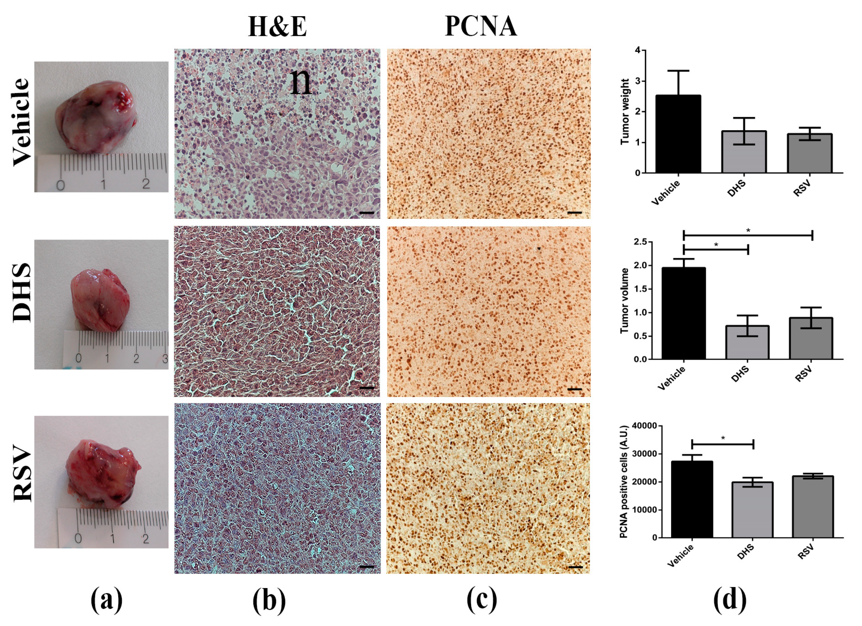 Biomedicines 10 01784 g001