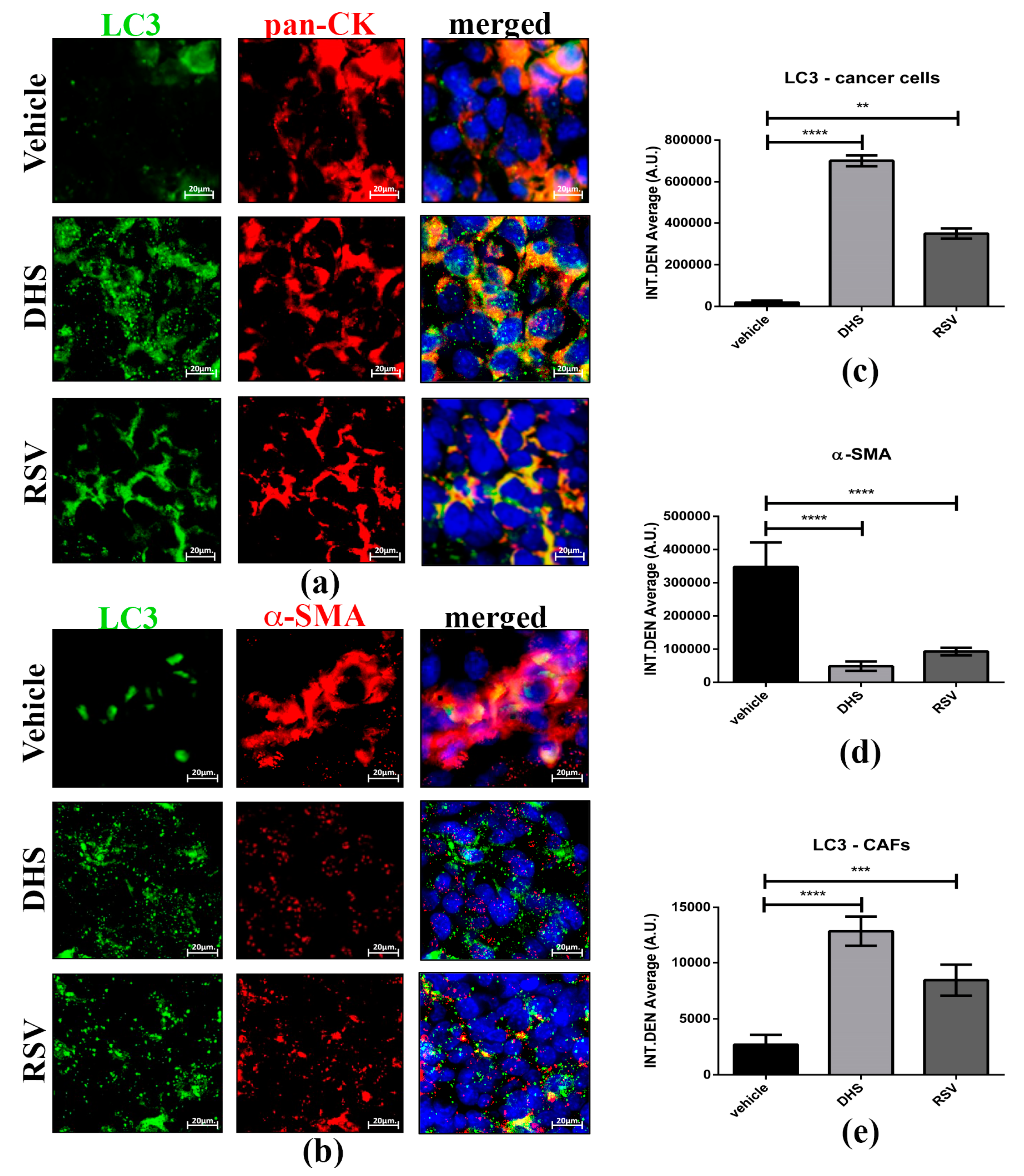 Biomedicines 10 01784 g007