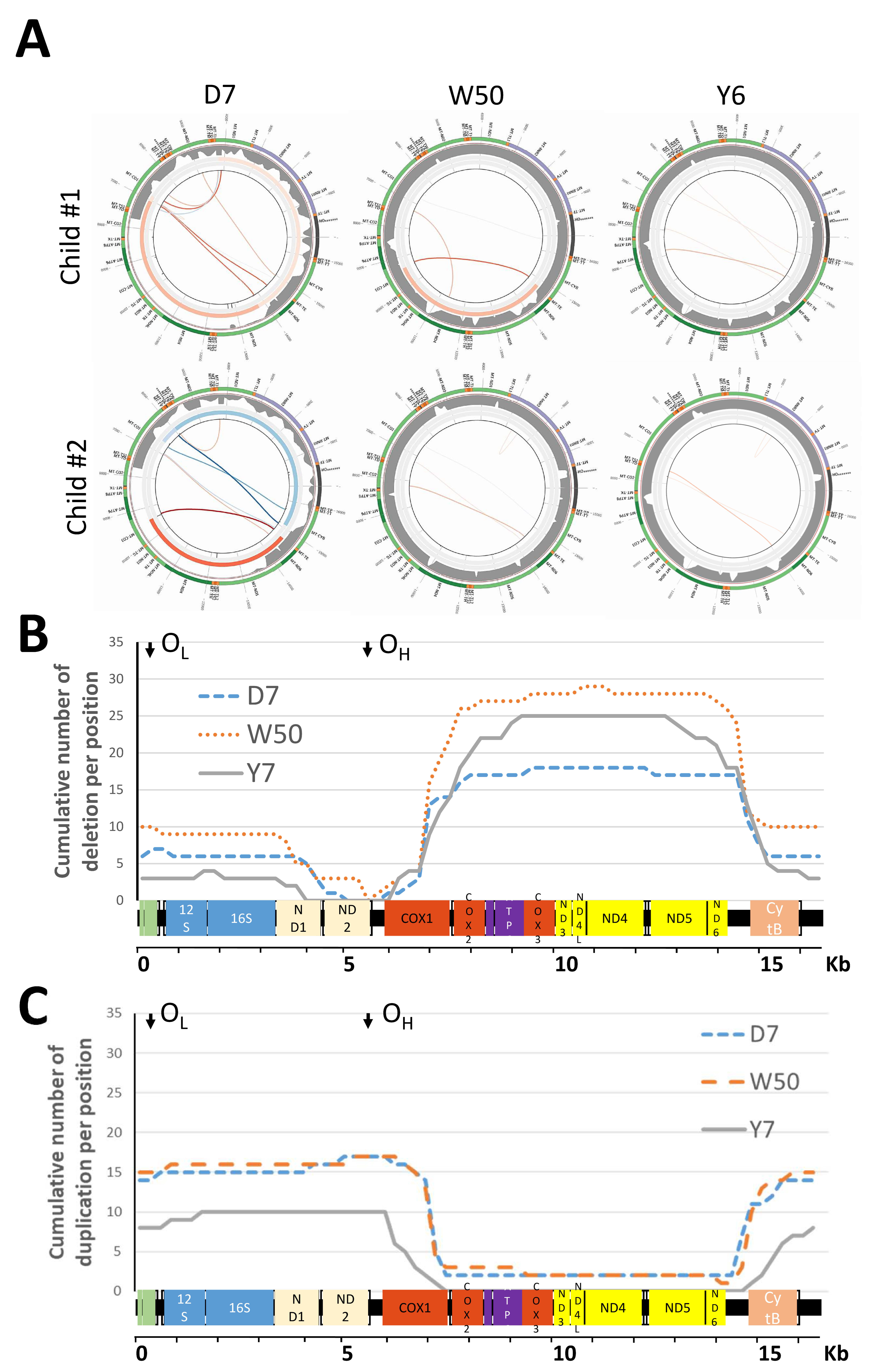 Biomedicines 10 01786 g001