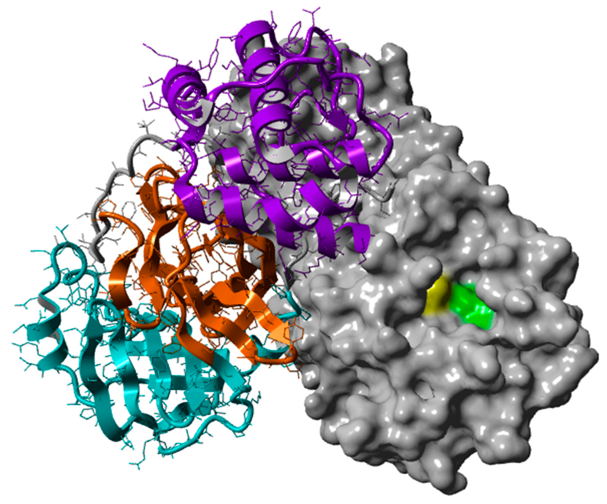 Biomedicines 10 01787 g001