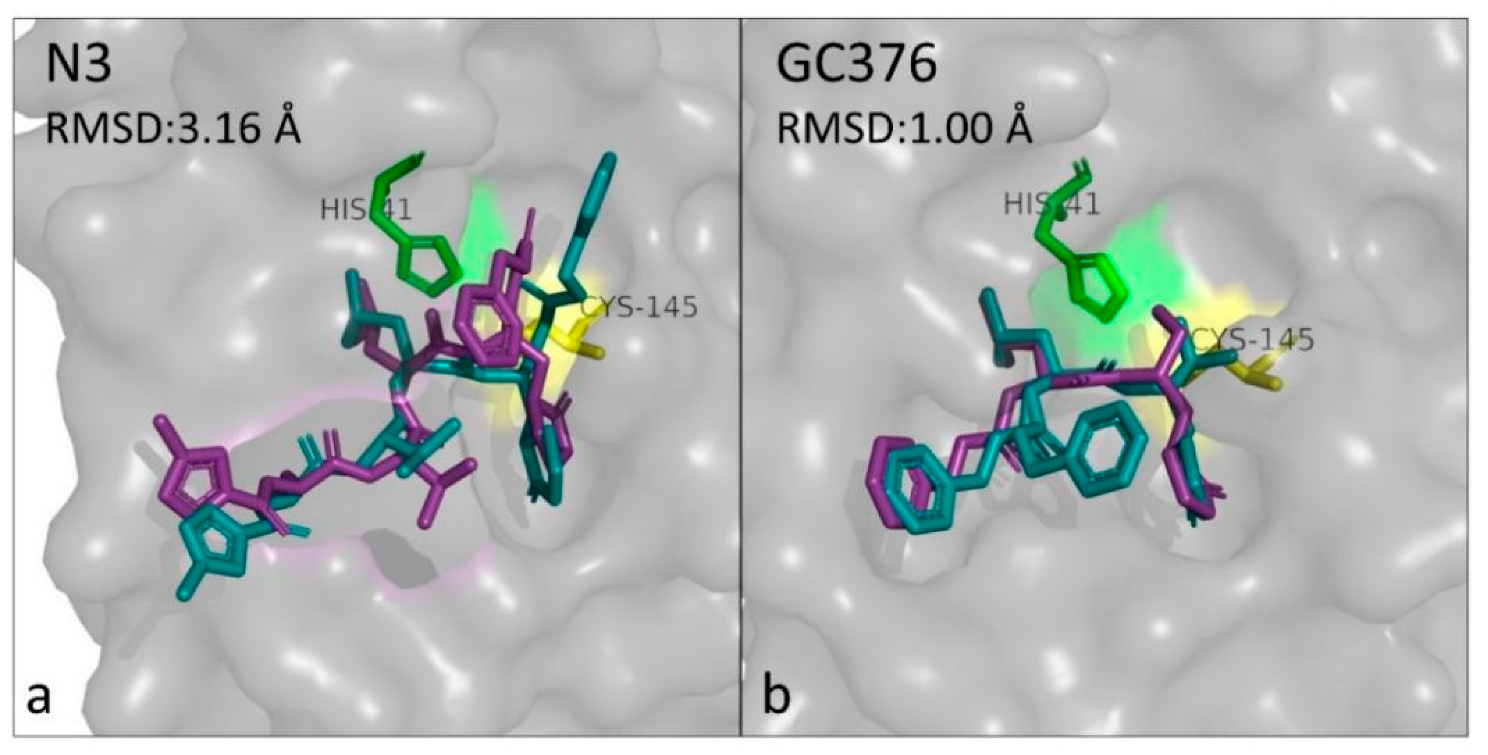 Biomedicines 10 01787 g002
