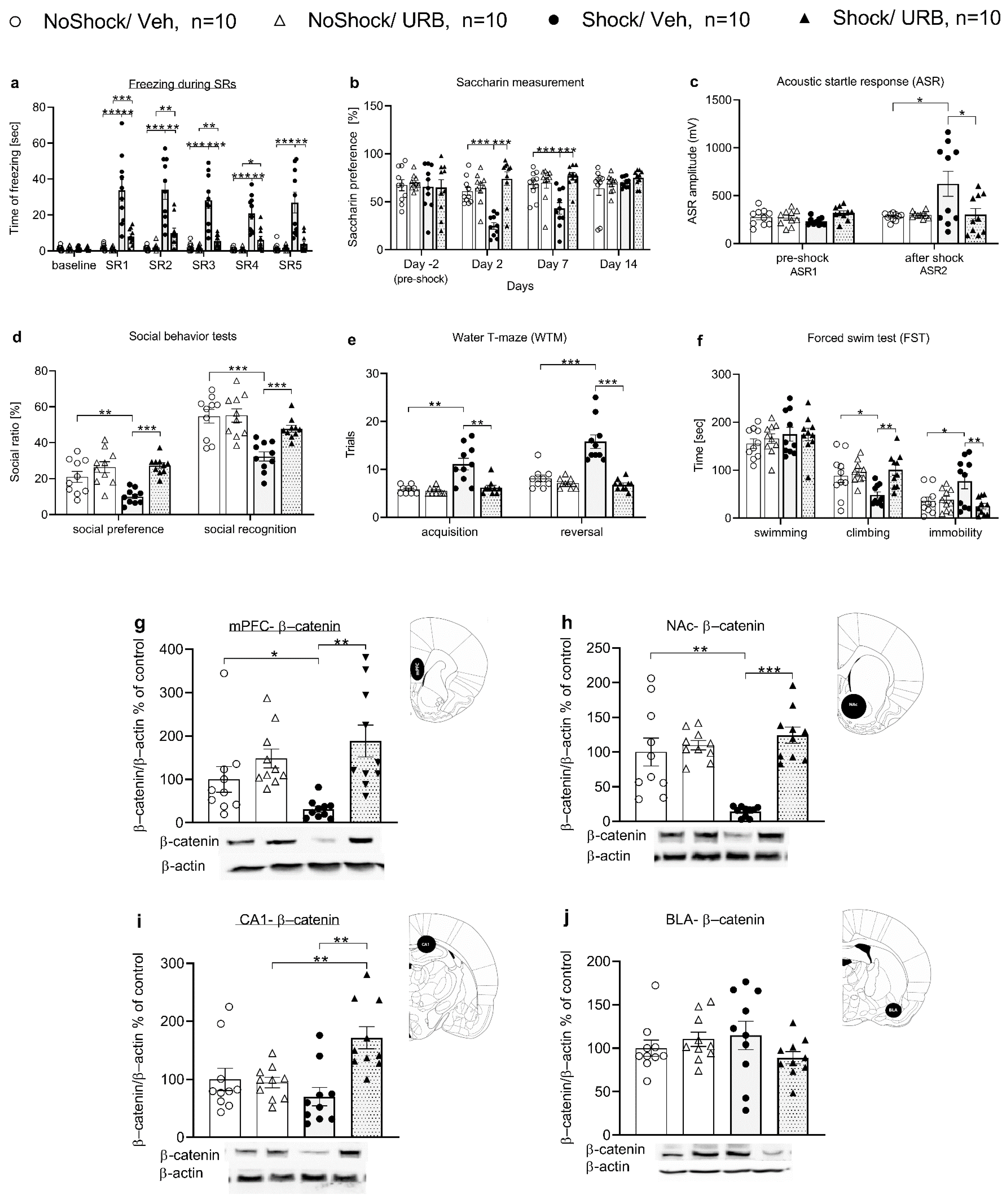 Biomedicines 10 01789 g001 Biomedicines 10 01789 g001