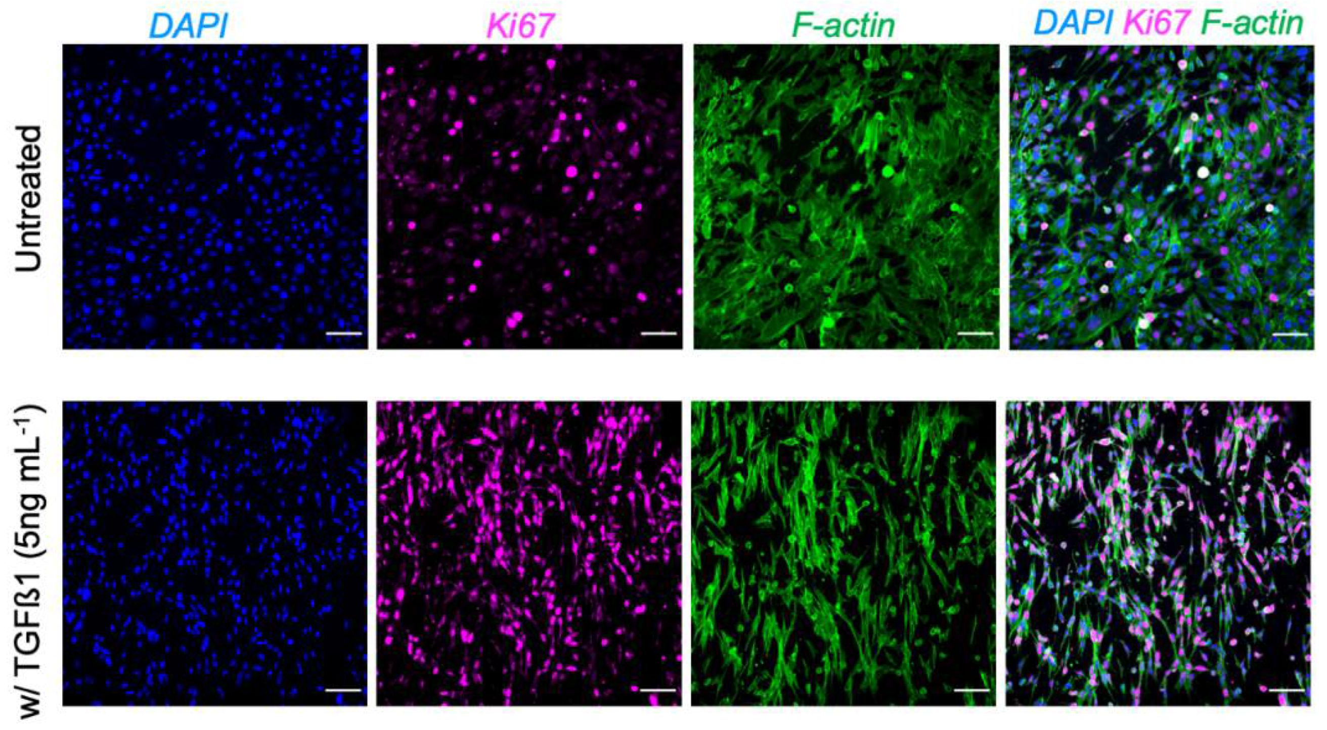 Biomedicines 10 01791 g004 550