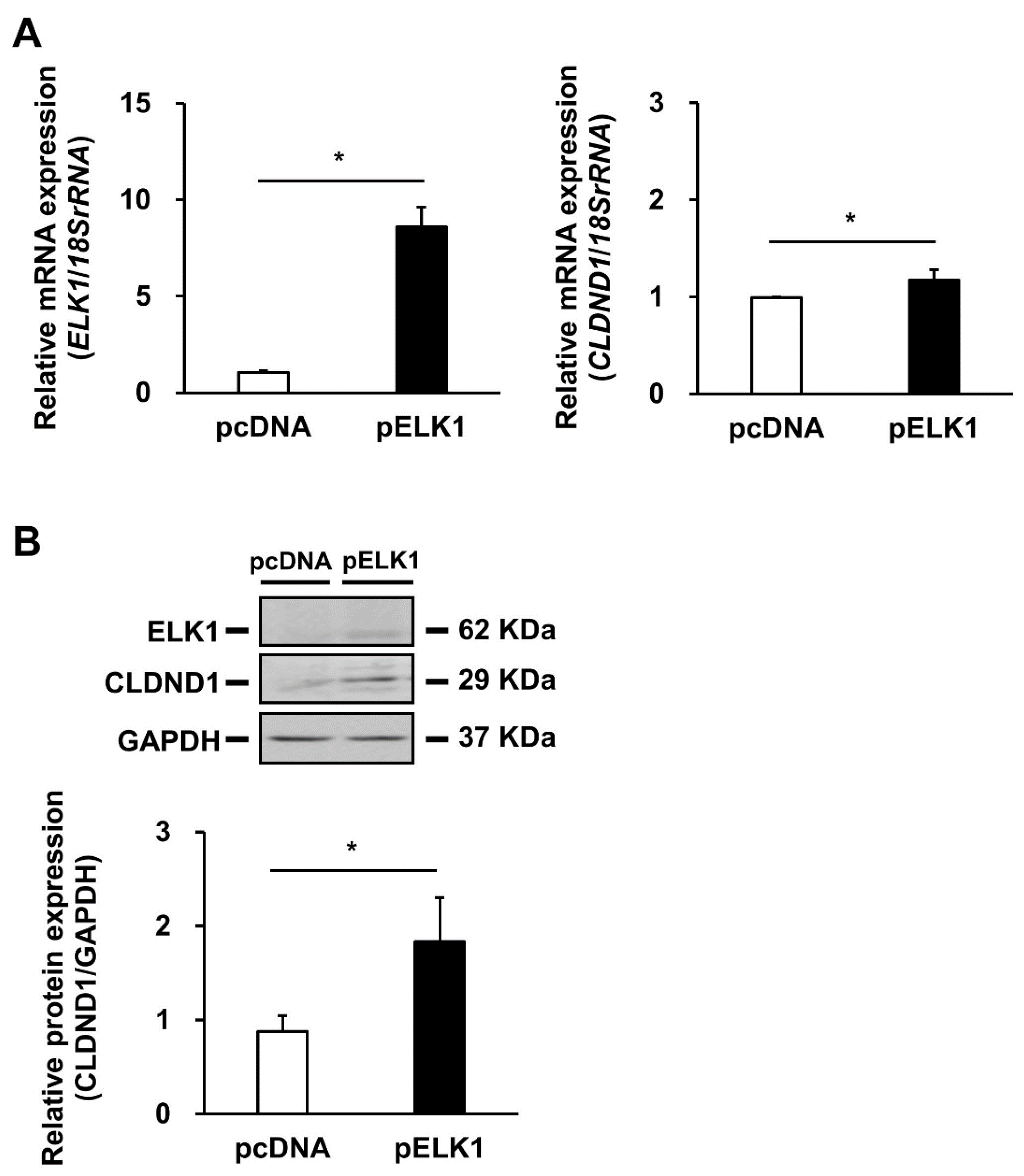 Biomedicines 10 01792 g003