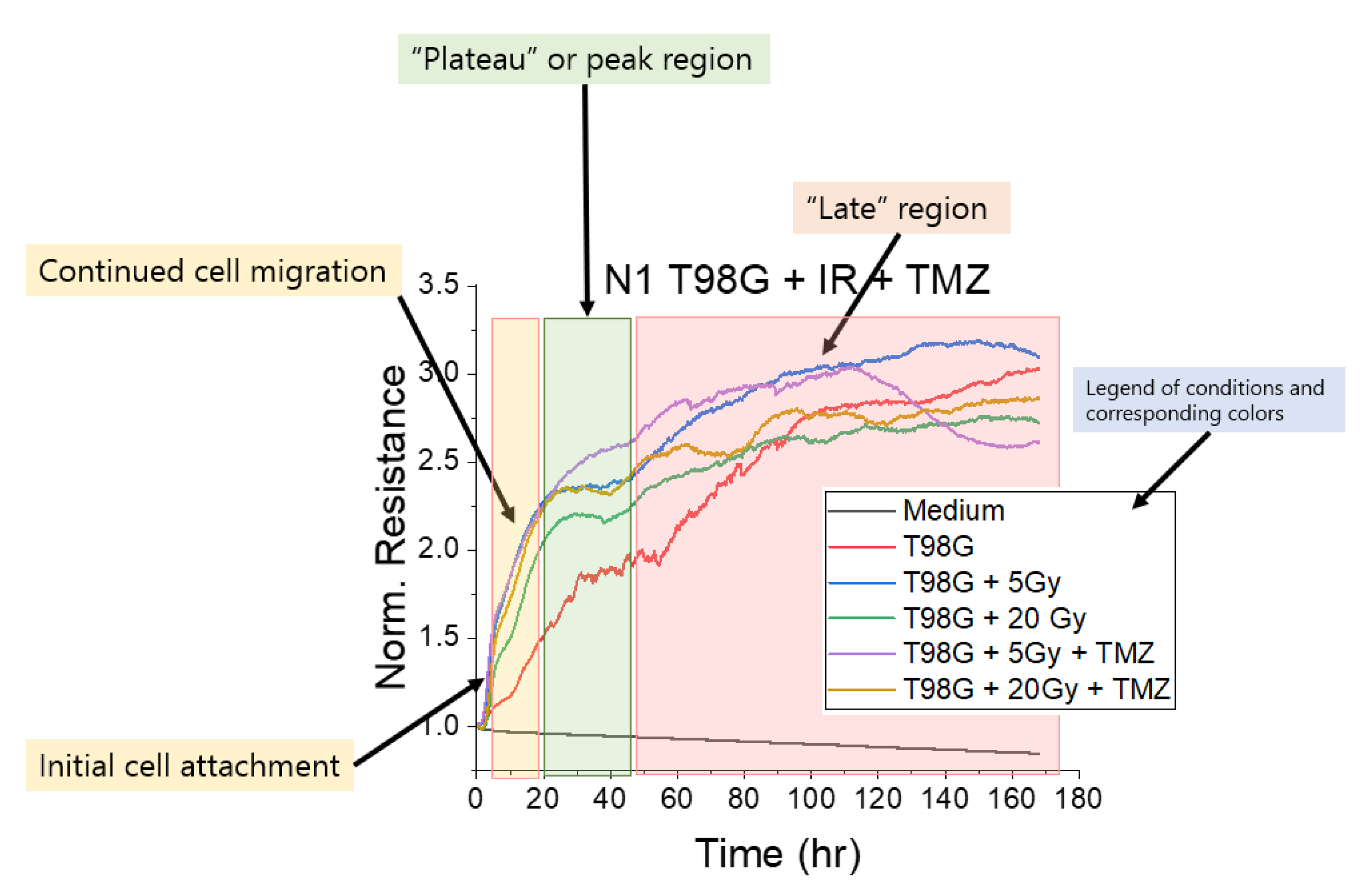 Biomedicines 10 01796 g001