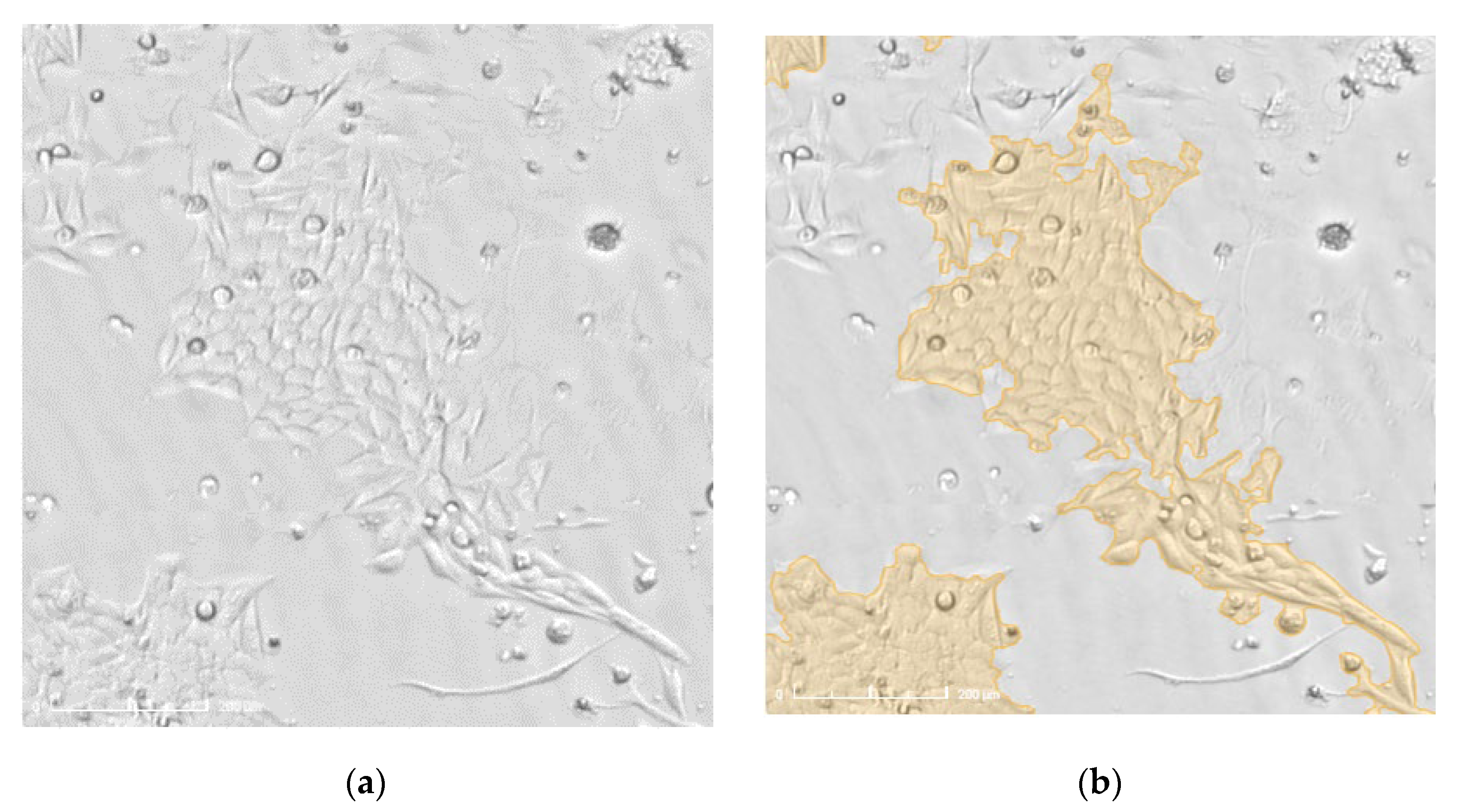 Biomedicines 10 01796 g0a4