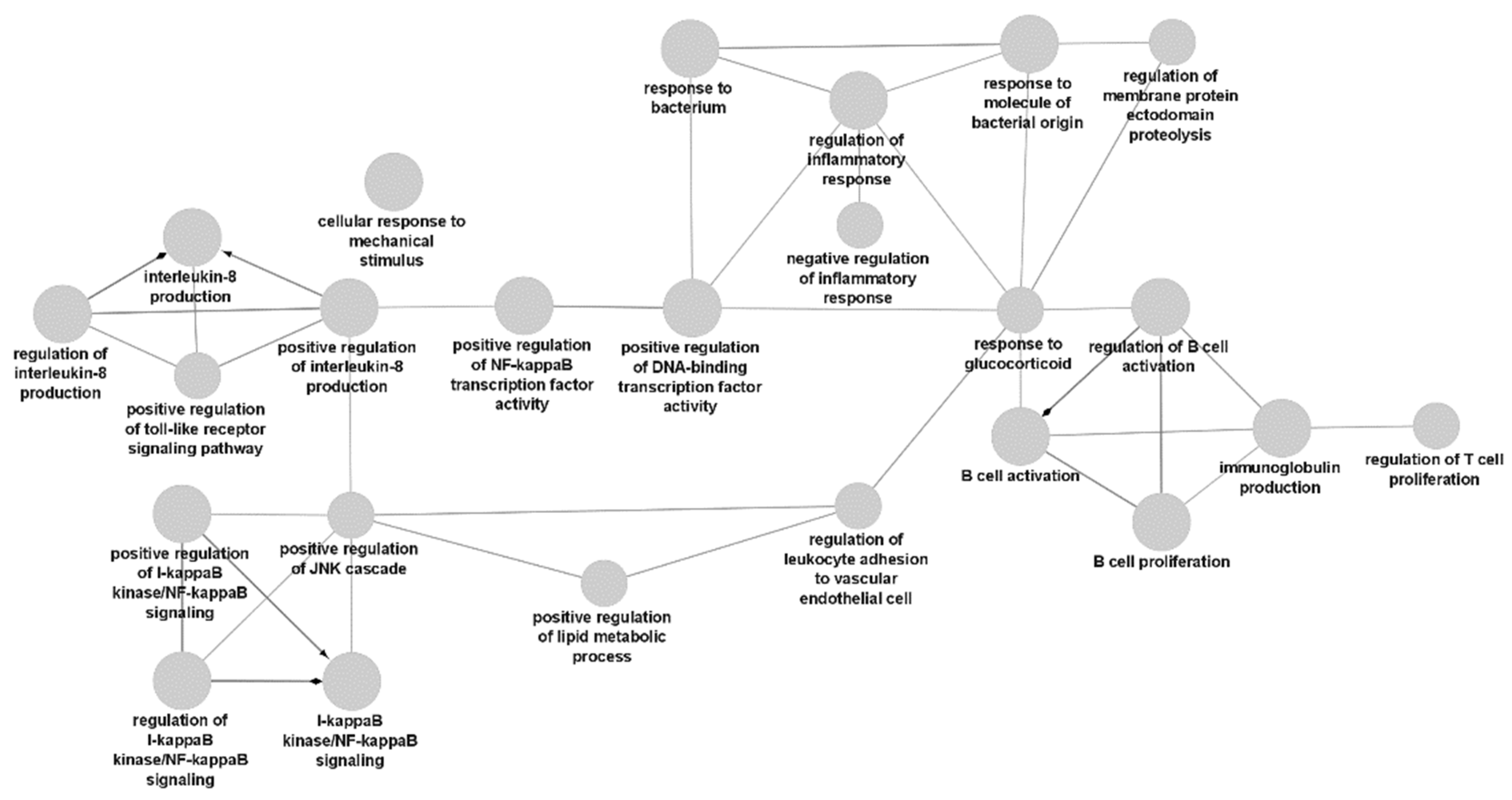 Biomedicines 10 01808 g001 Biomedicines 10 01808 g001