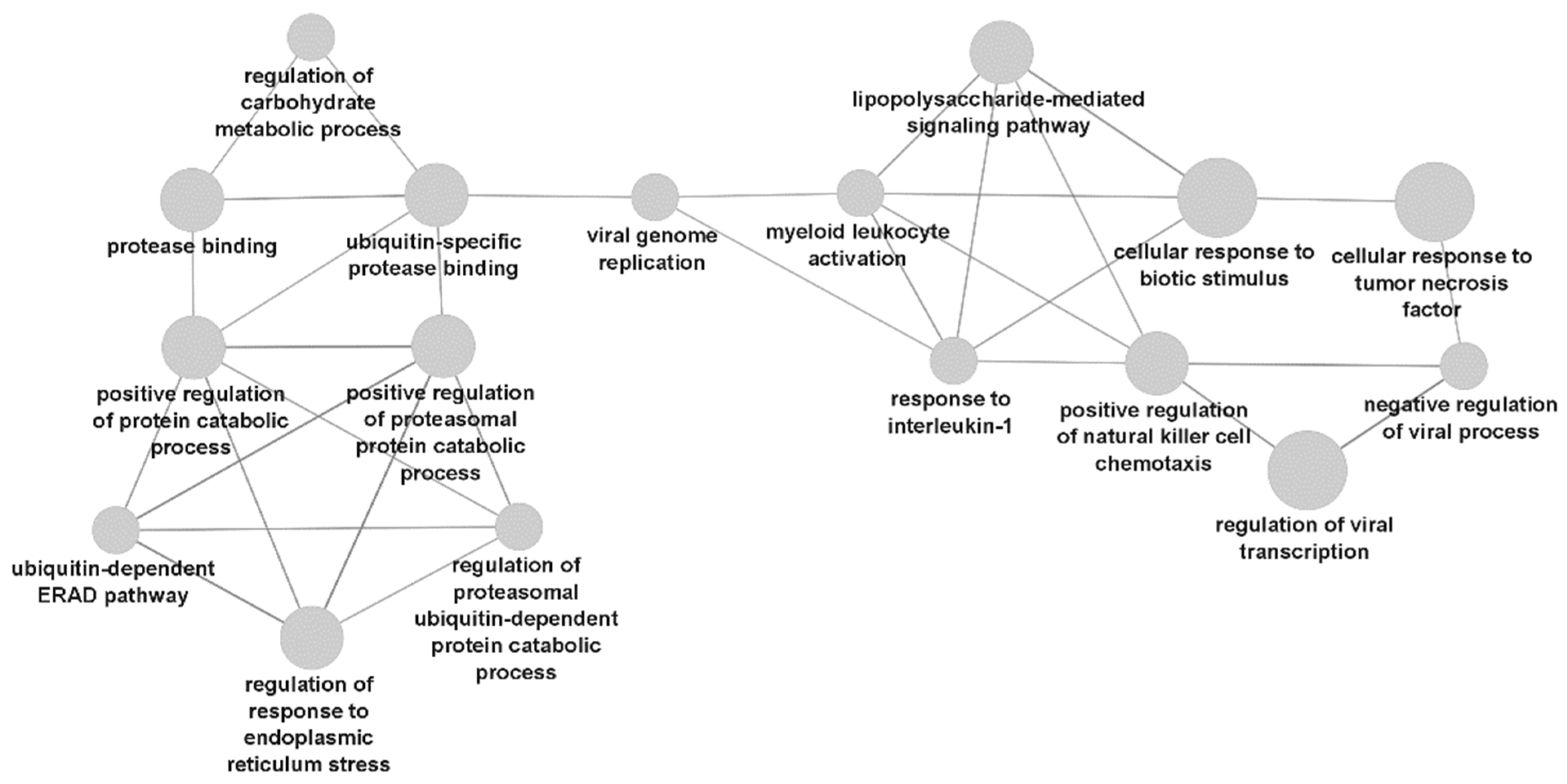 Biomedicines 10 01808 g002 Biomedicines 10 01808 g002
