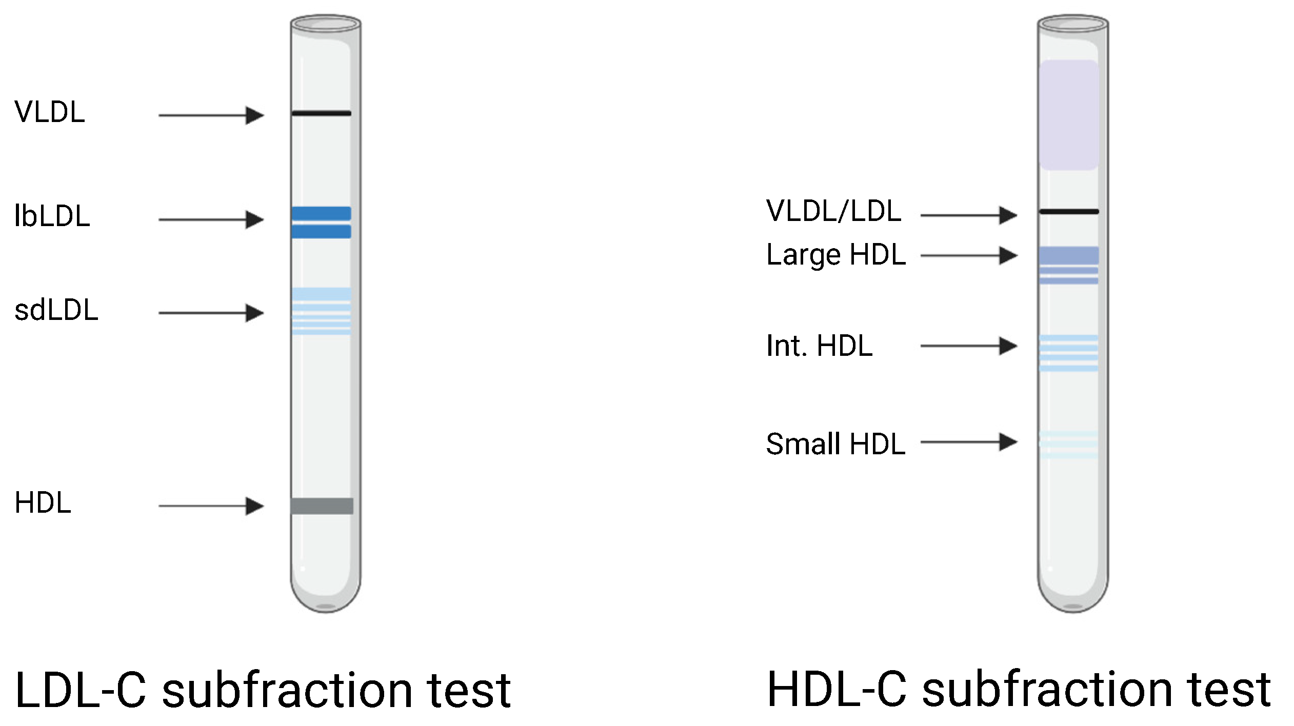 Biomedicines 10 01809 g001 Biomedicines 10 01809 g001