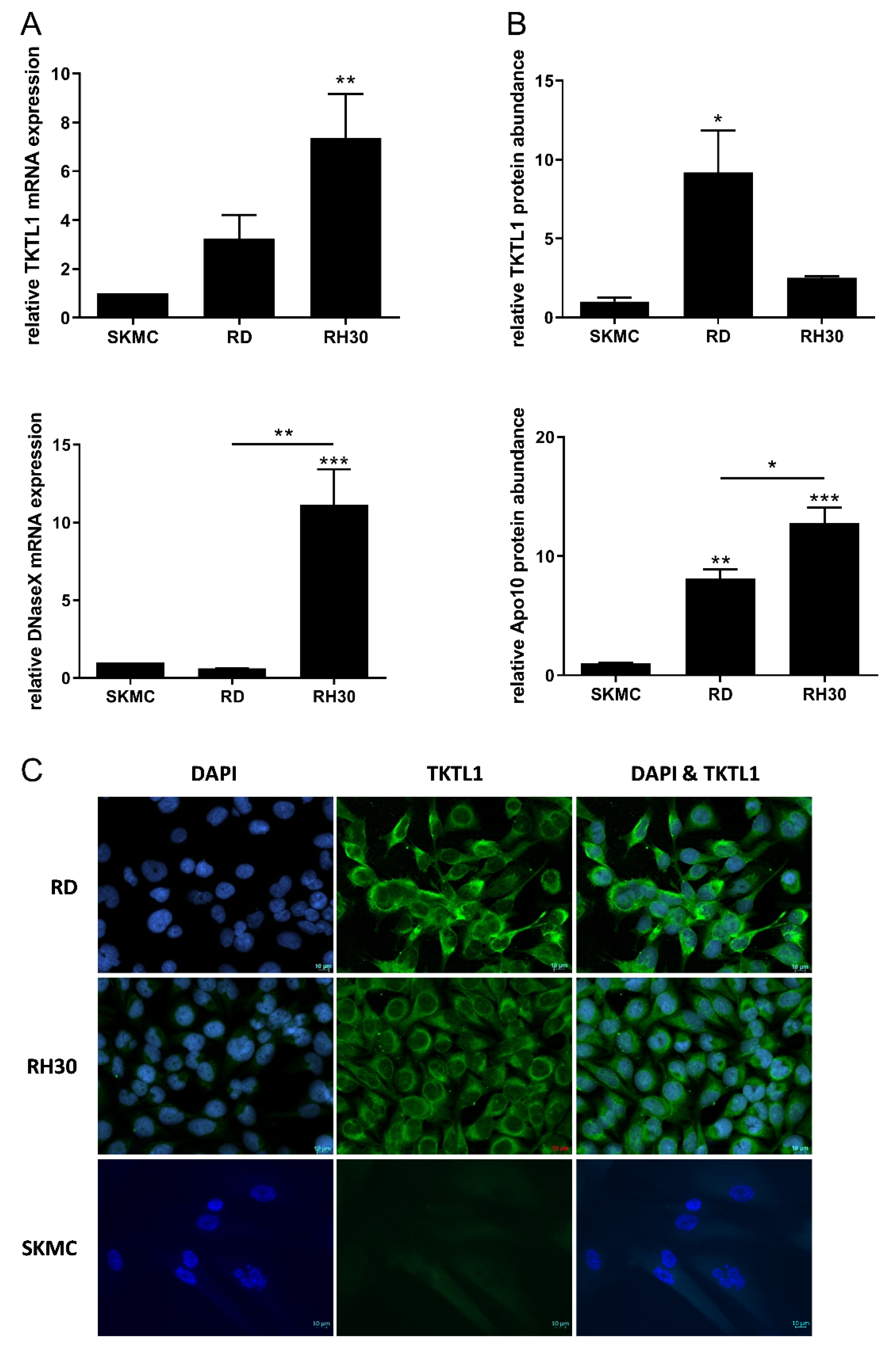 Biomedicines 10 01812 g001