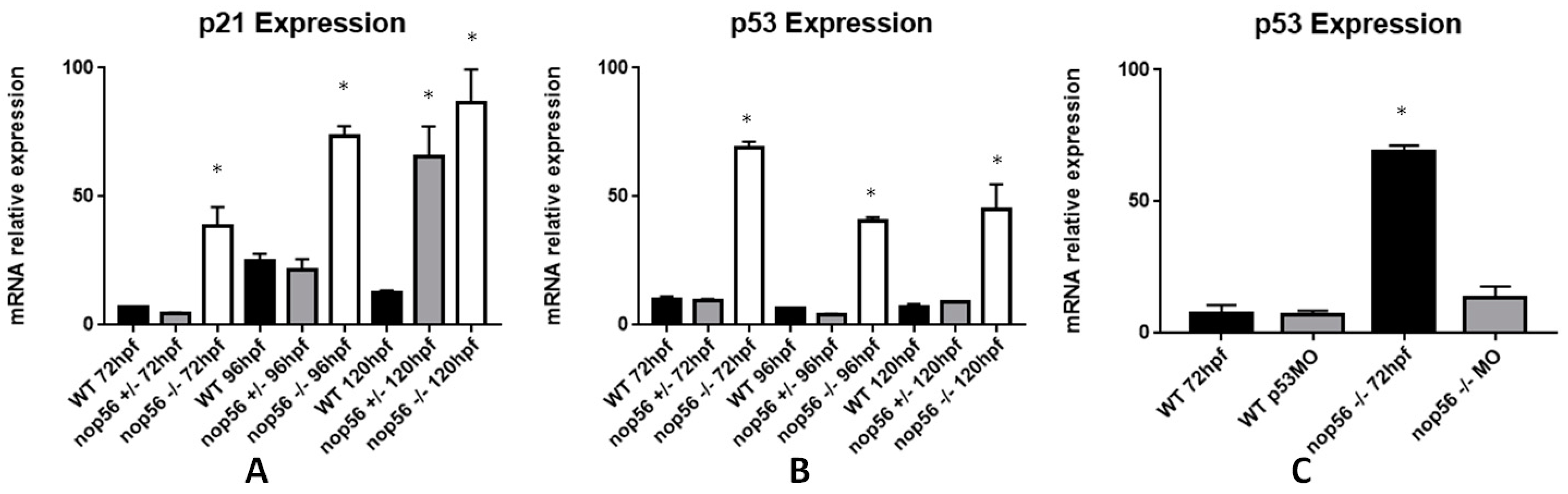 Biomedicines 10 01814 g009
