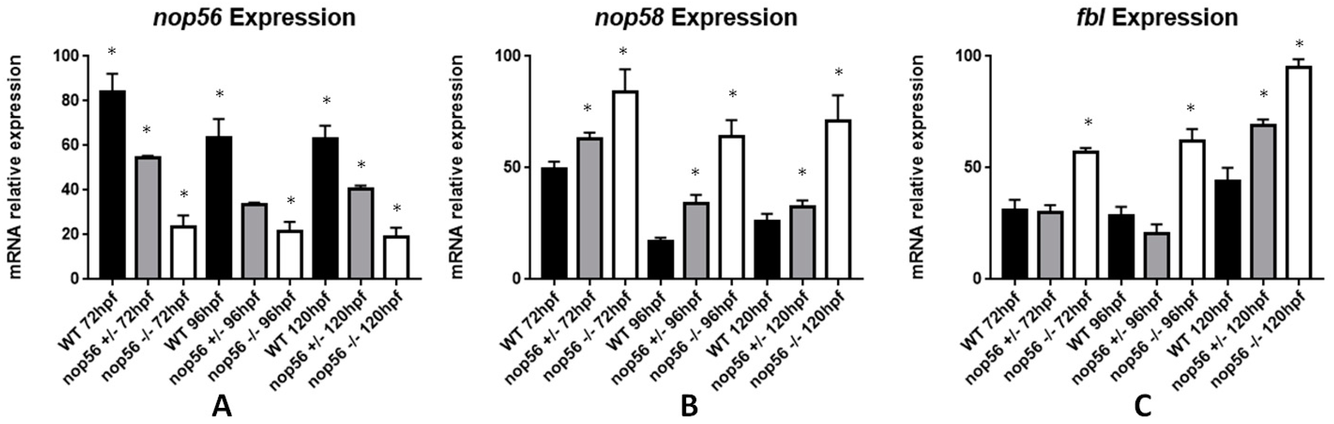 Biomedicines 10 01814 g012