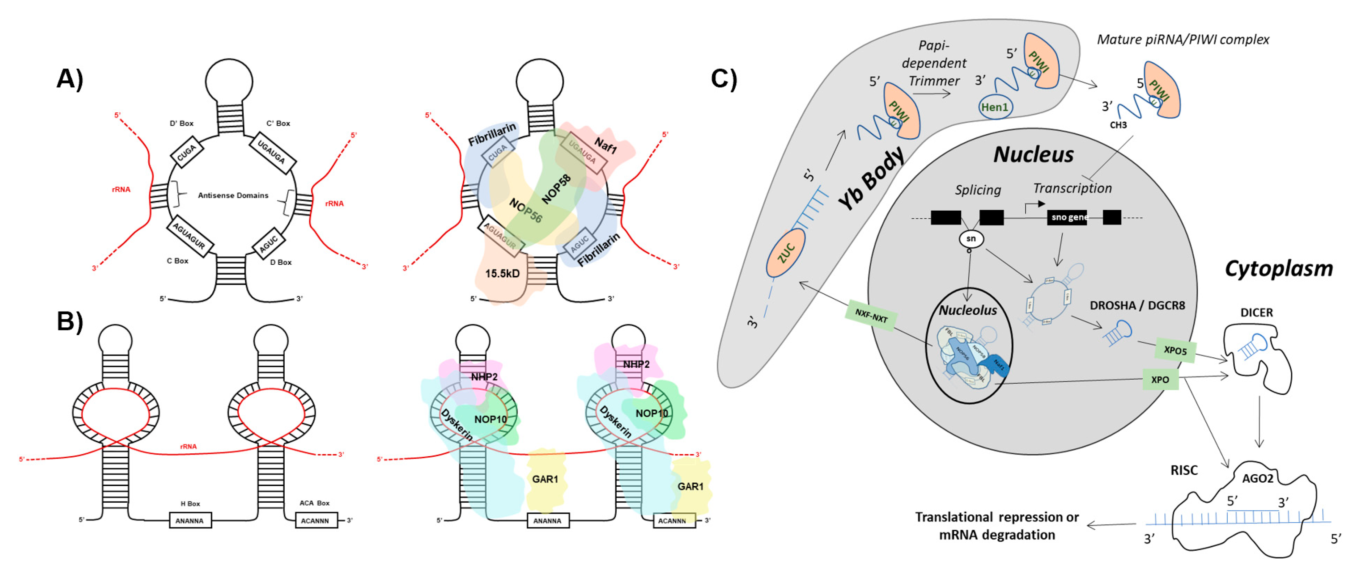 Biomedicines 10 01819 g001 Biomedicines 10 01819 g001
