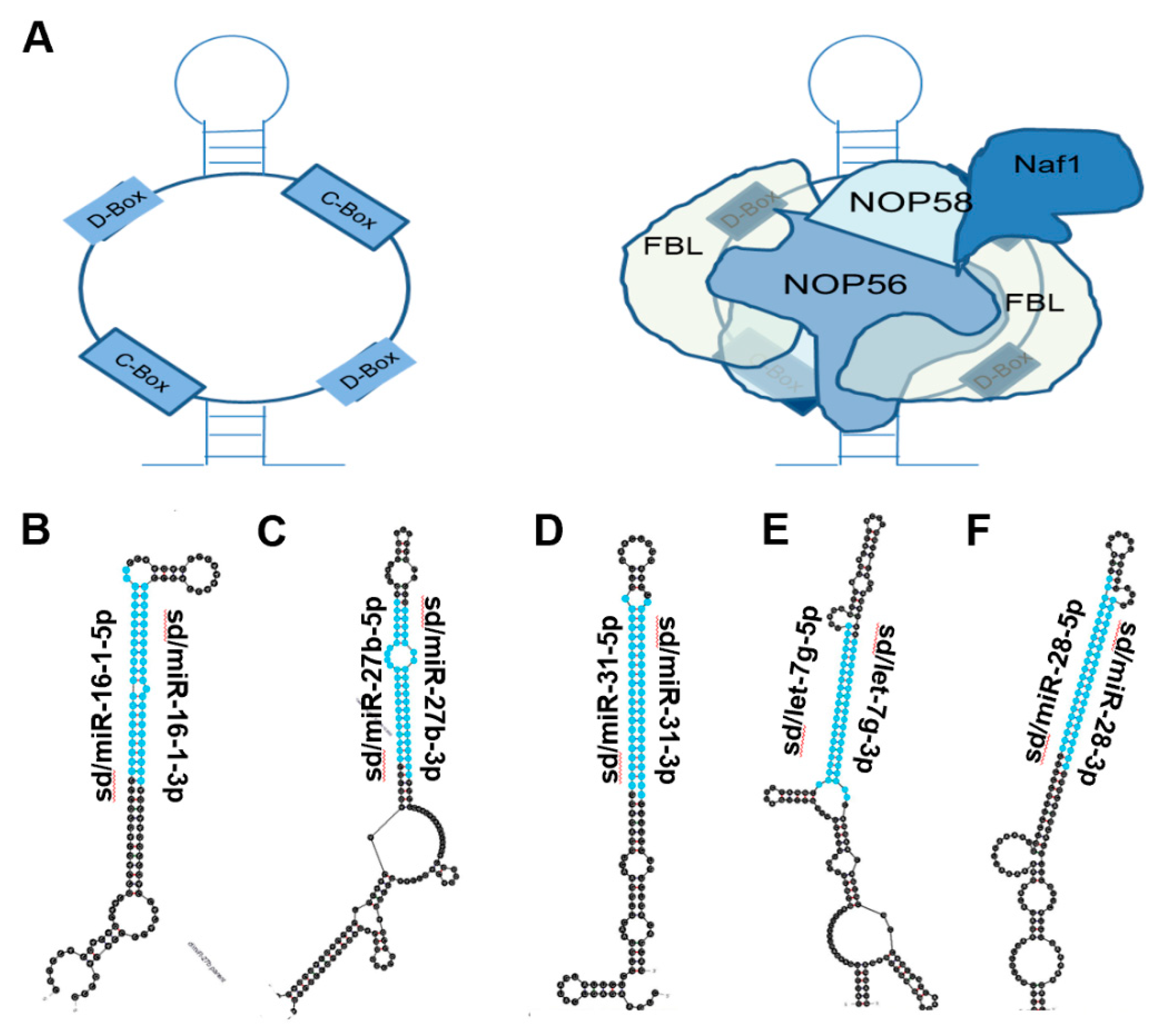 Biomedicines 10 01819 g002 Biomedicines 10 01819 g002