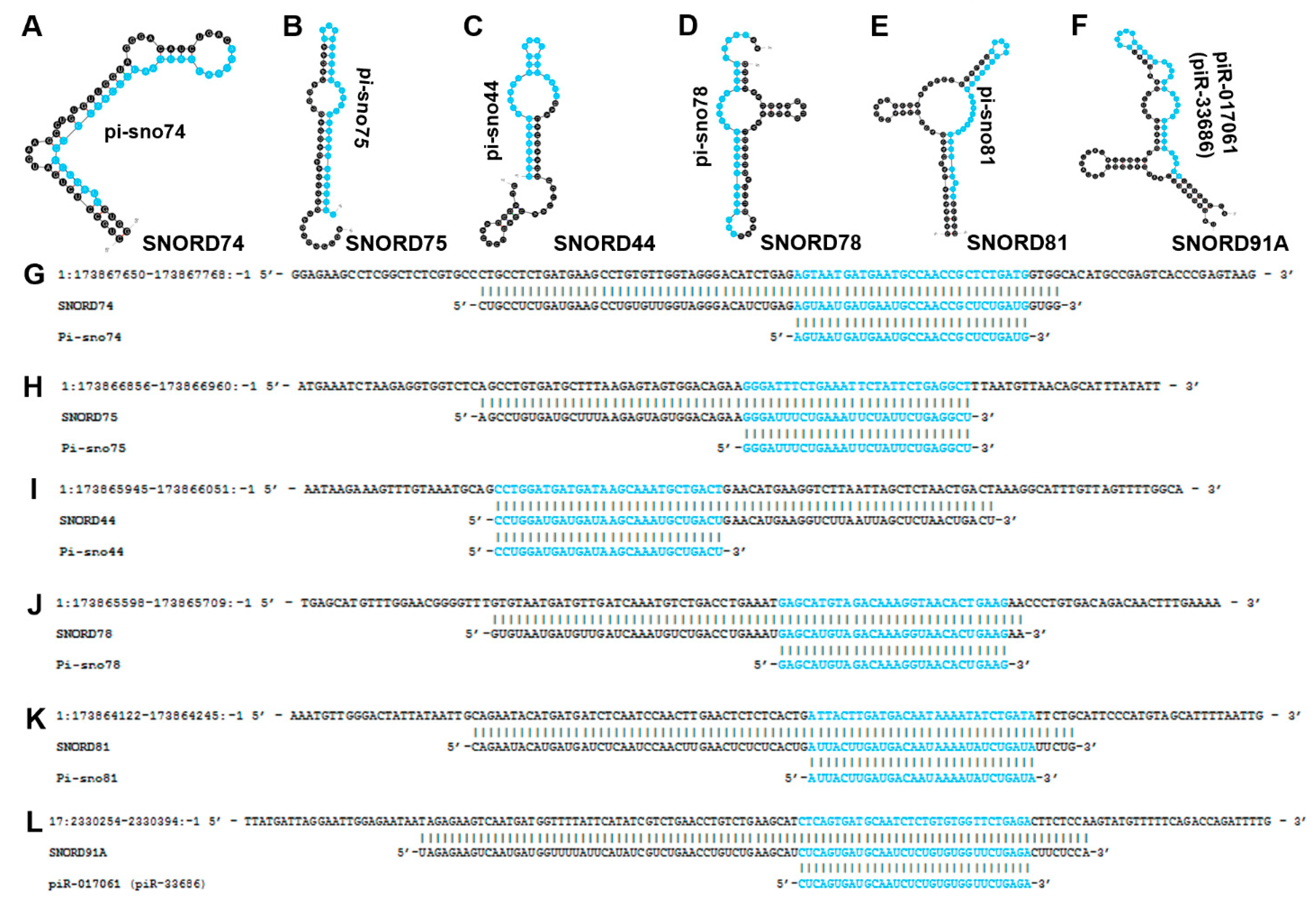 Biomedicines 10 01819 g006 Biomedicines 10 01819 g006