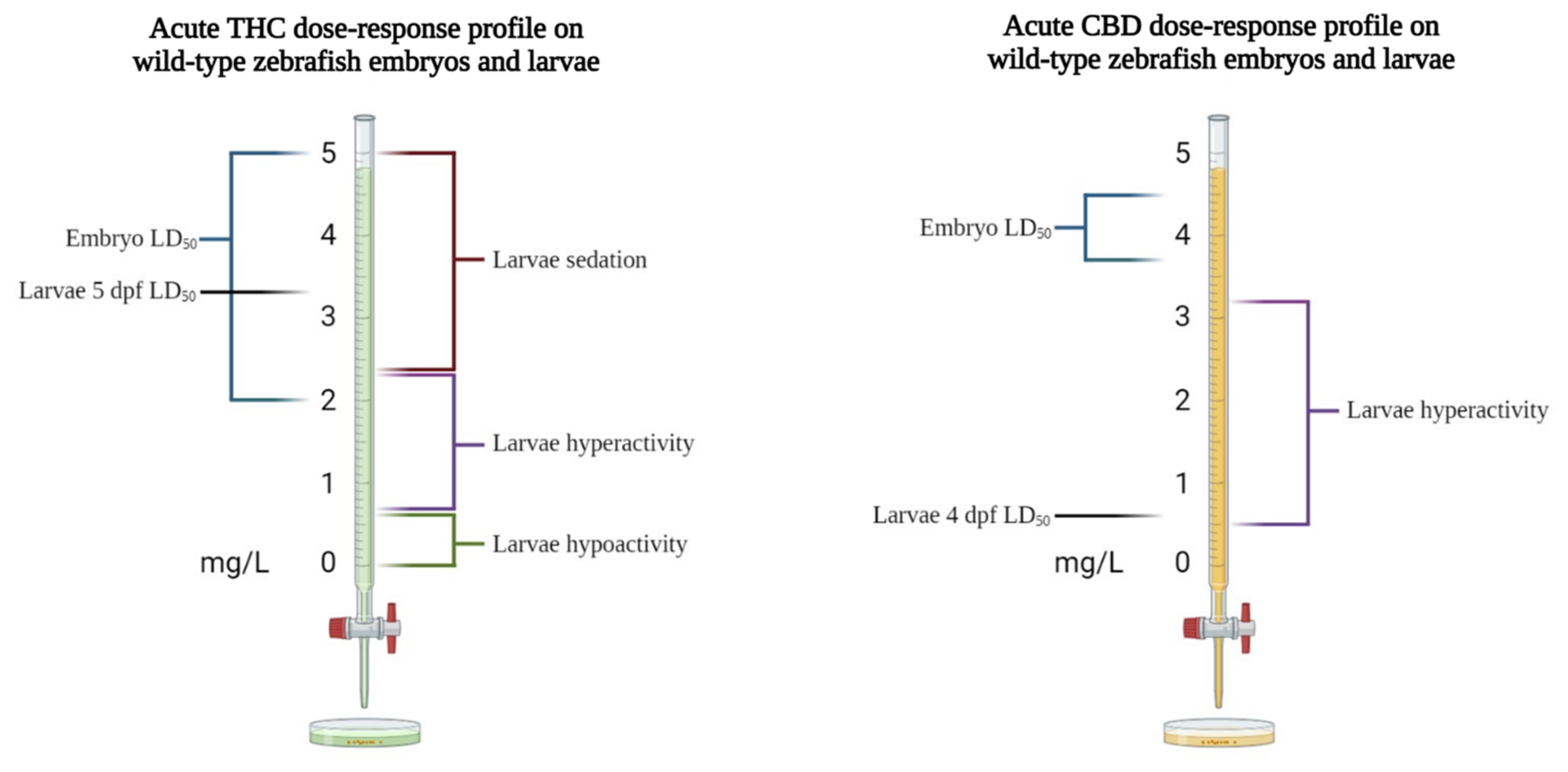 Biomedicines 10 01820 g003 550