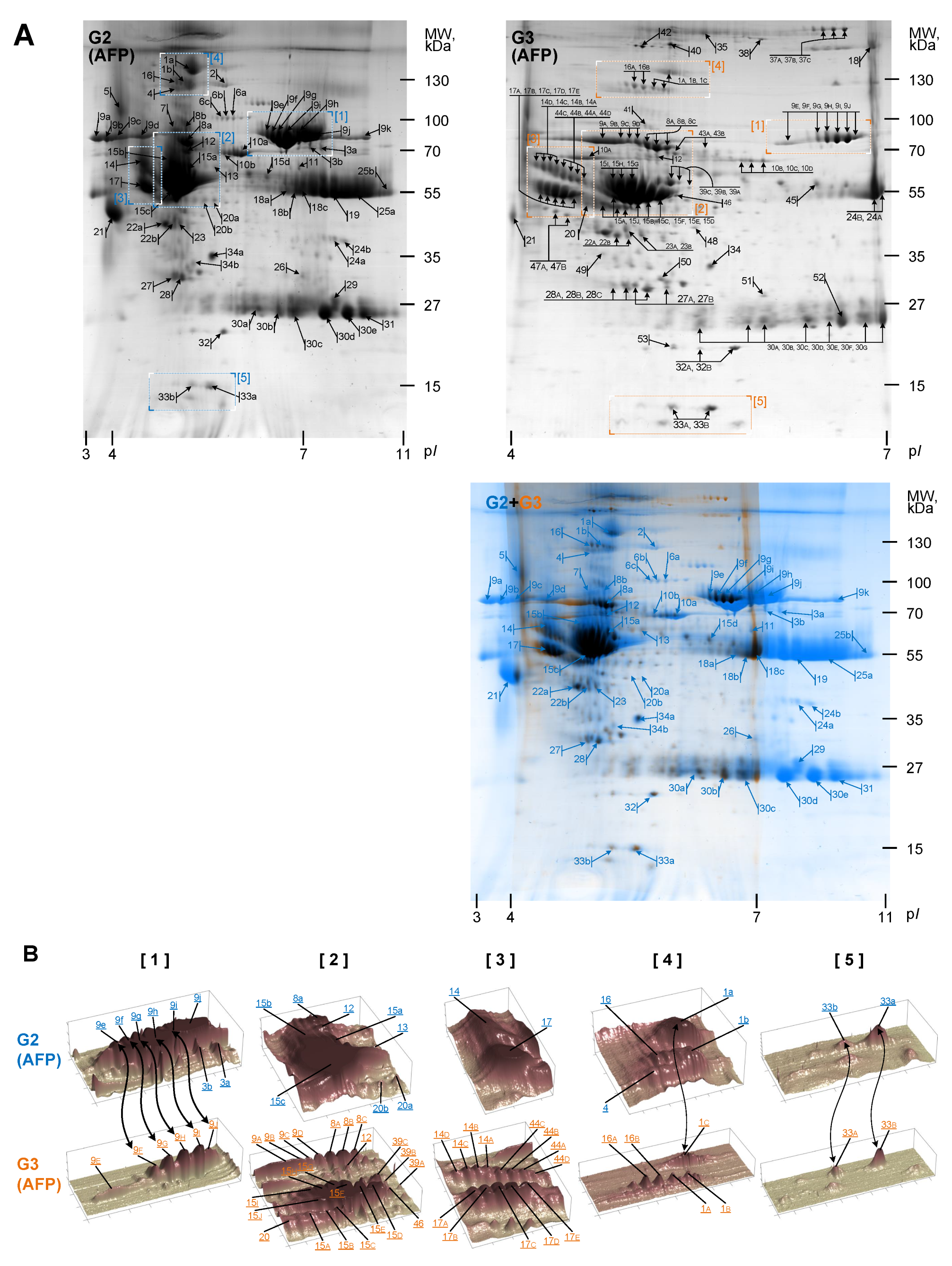Biomedicines 10 01821 g002 Biomedicines 10 01821 g002