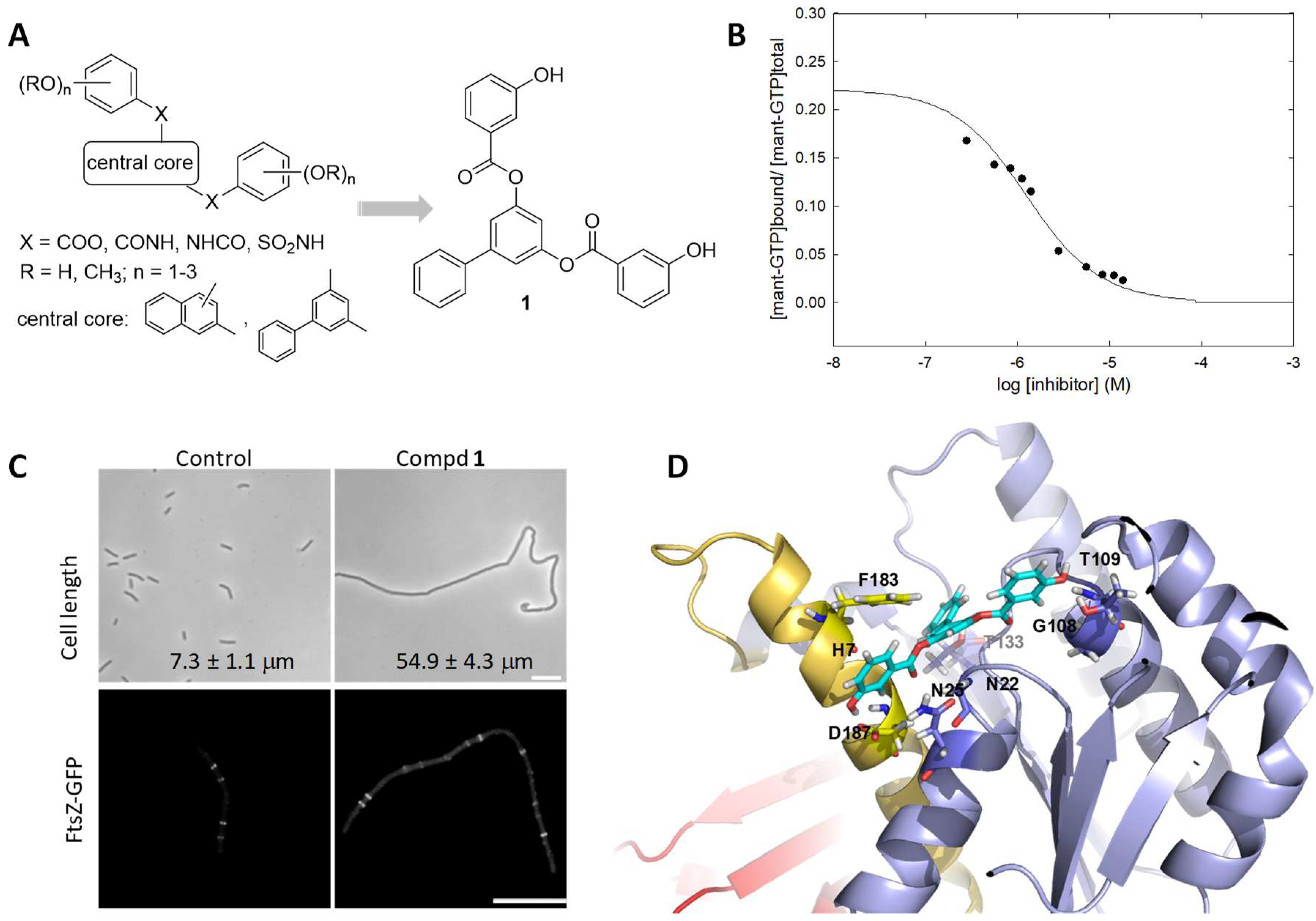 Biomedicines 10 01825 g002 Biomedicines 10 01825 g002