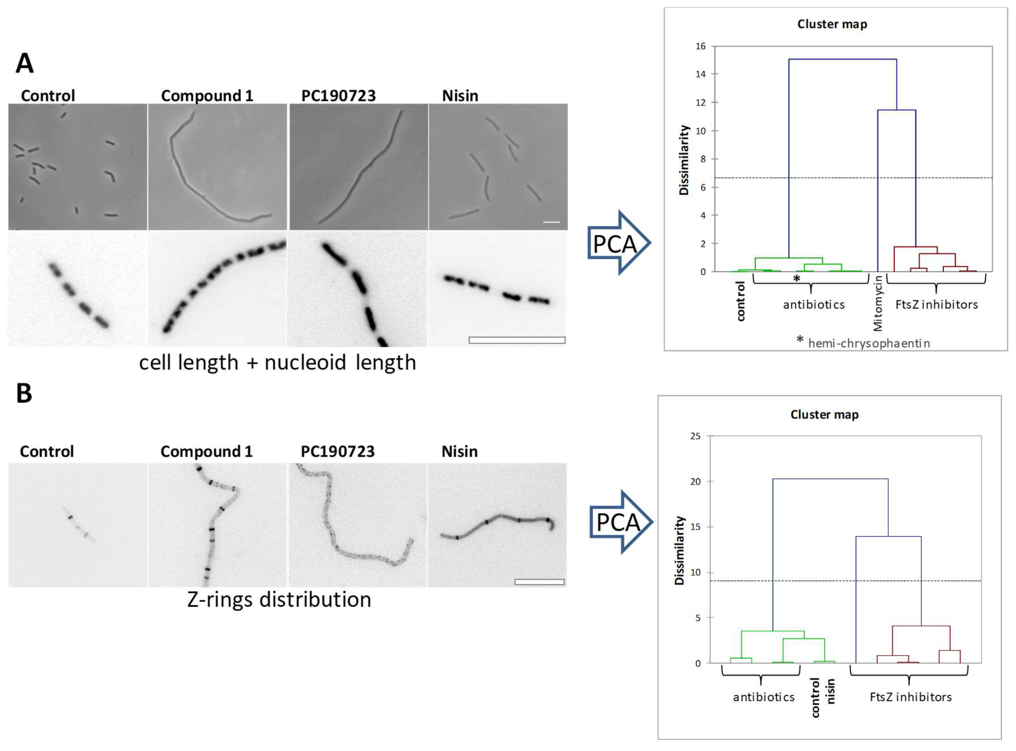 Biomedicines 10 01825 g004 Biomedicines 10 01825 g004