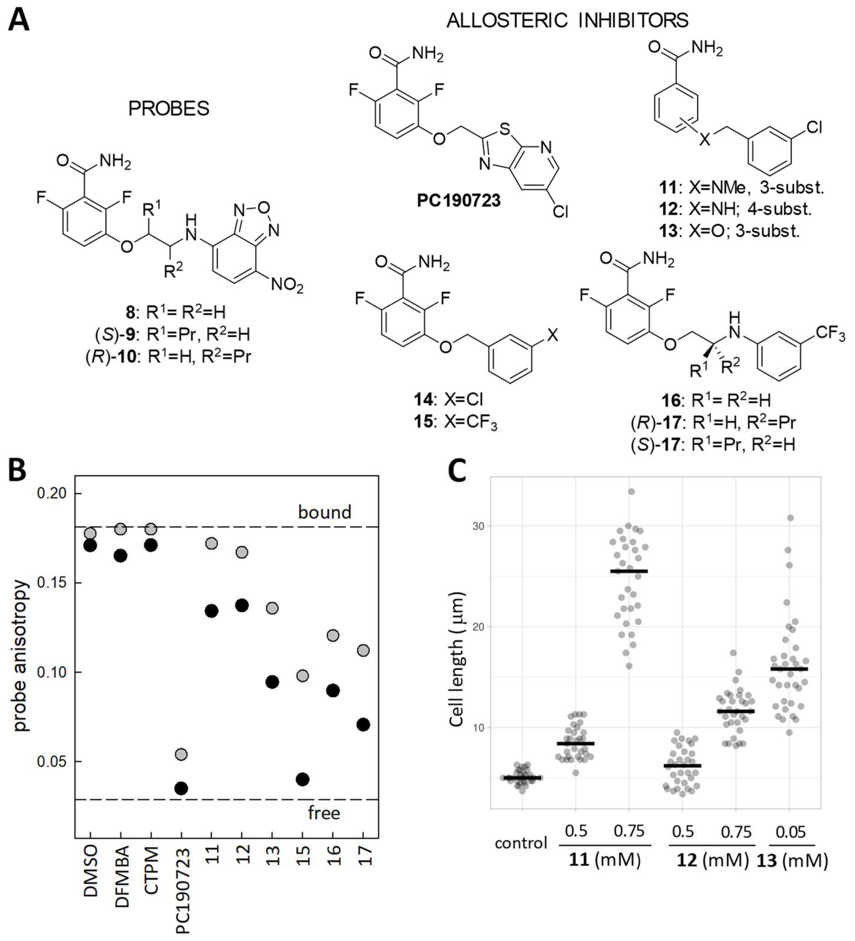 Biomedicines 10 01825 g005 Biomedicines 10 01825 g005