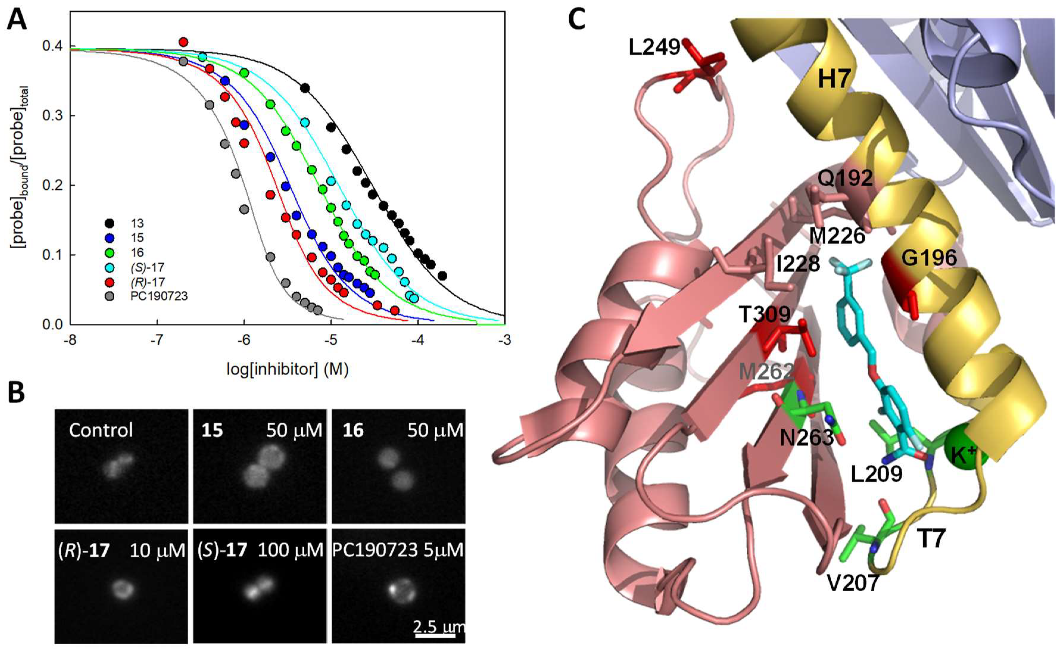 Biomedicines 10 01825 g006 Biomedicines 10 01825 g006