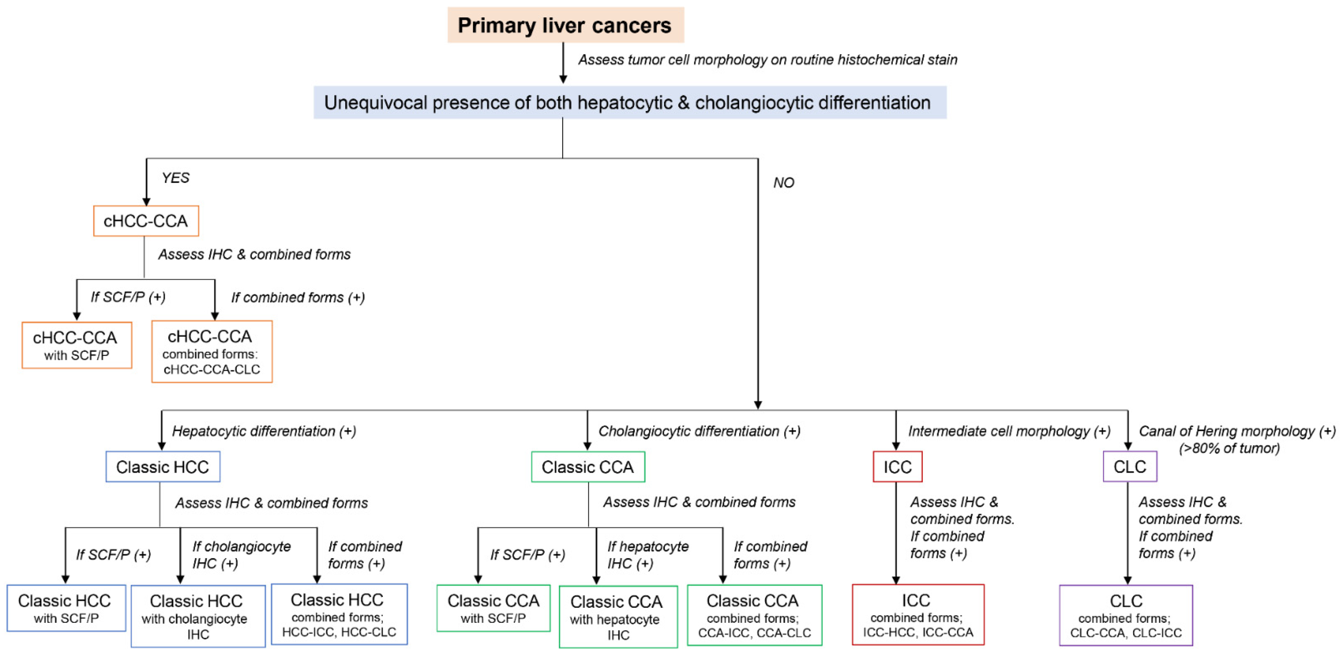 Biomedicines 10 01826 g007