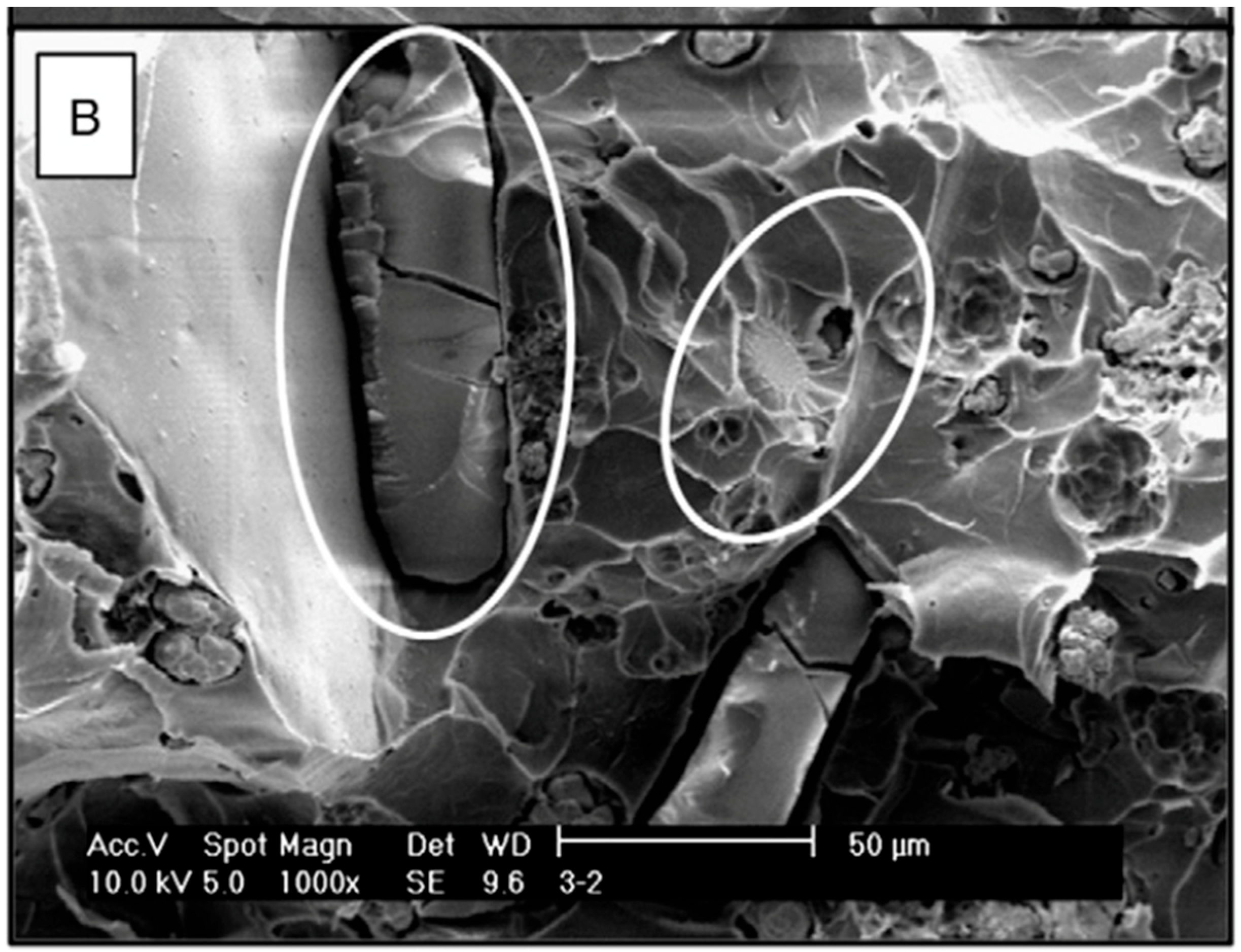 Biomedicines 10 01830 g001 Biomedicines 10 01830 g001