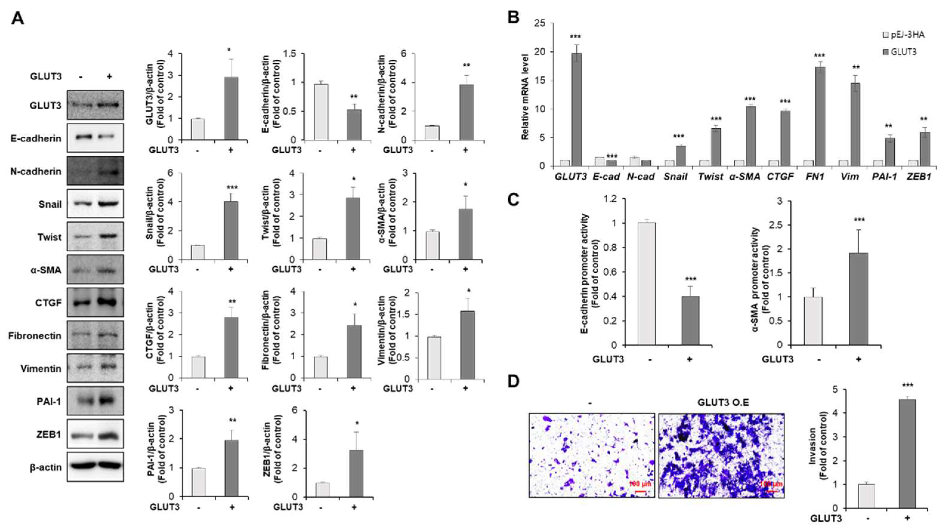 Biomedicines 10 01837 g001 550