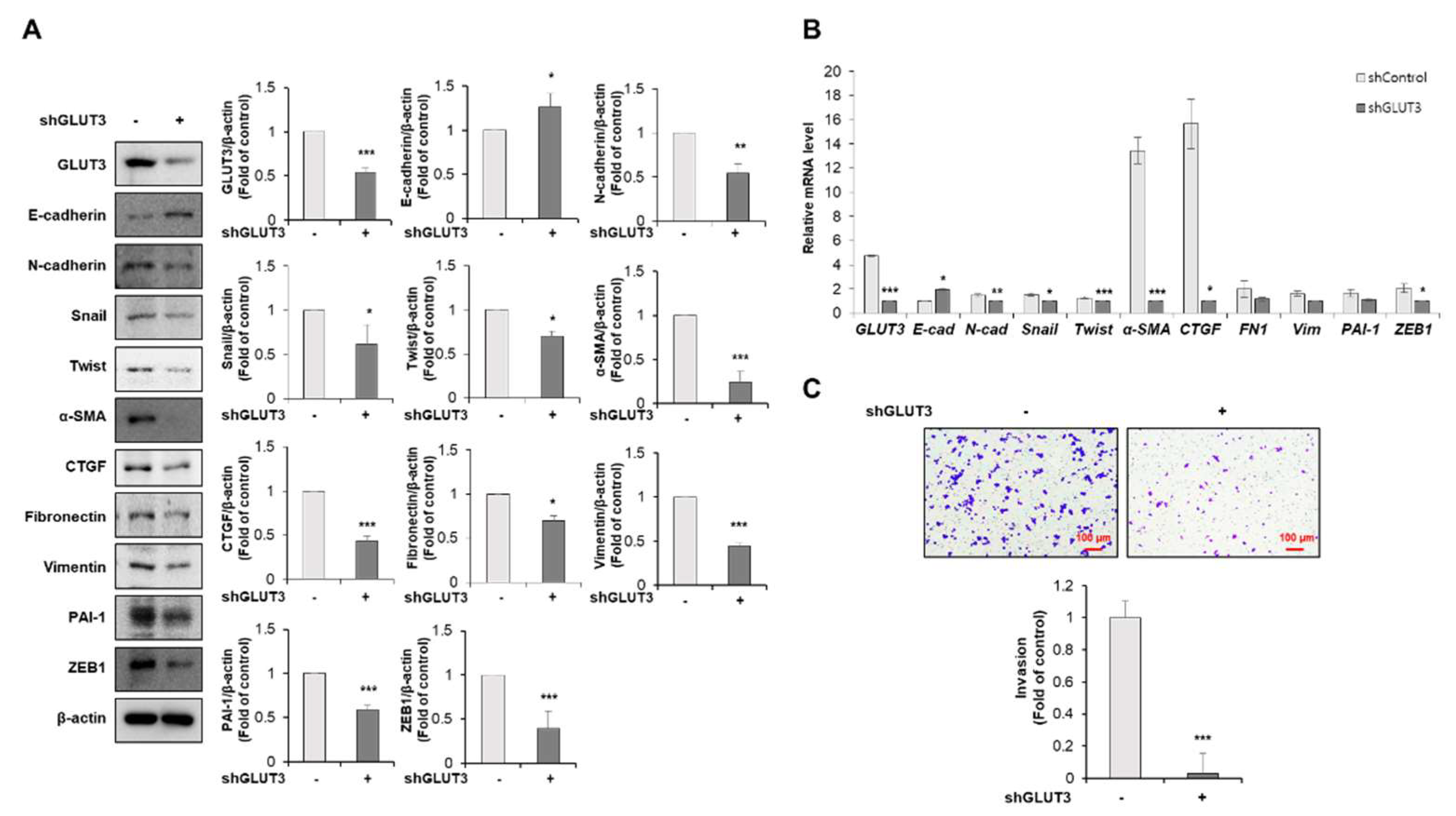 Biomedicines 10 01837 g002 550