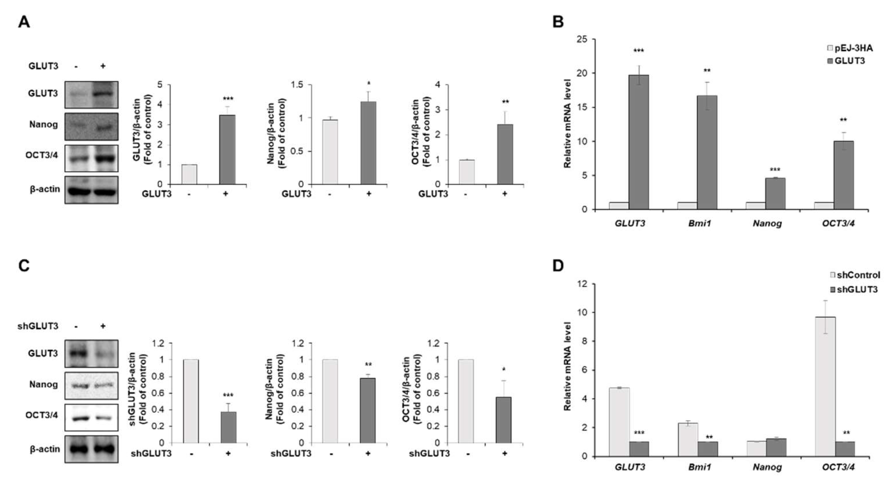 Biomedicines 10 01837 g003 550