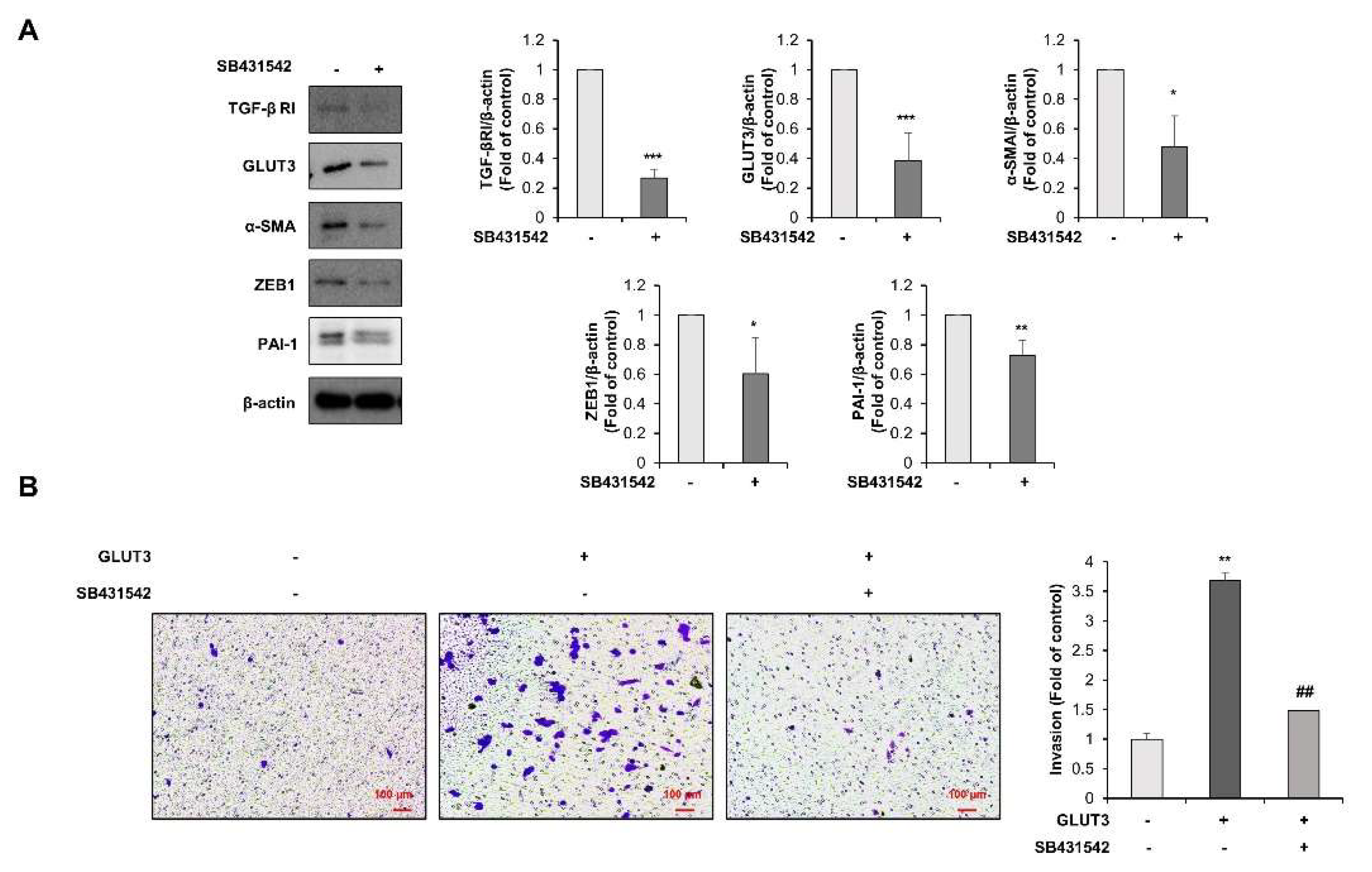 Biomedicines 10 01837 g004 550