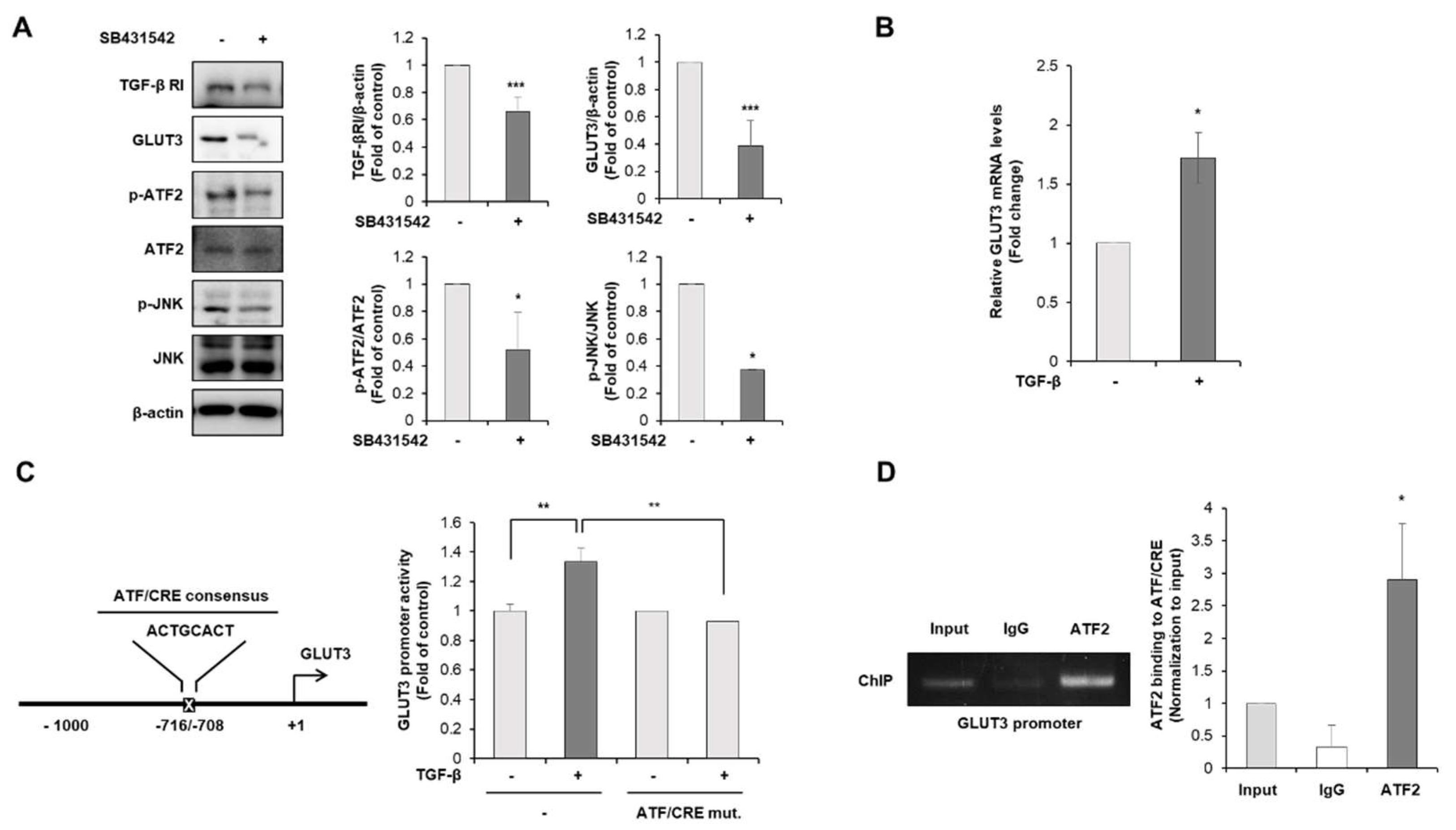 Biomedicines 10 01837 g005 550