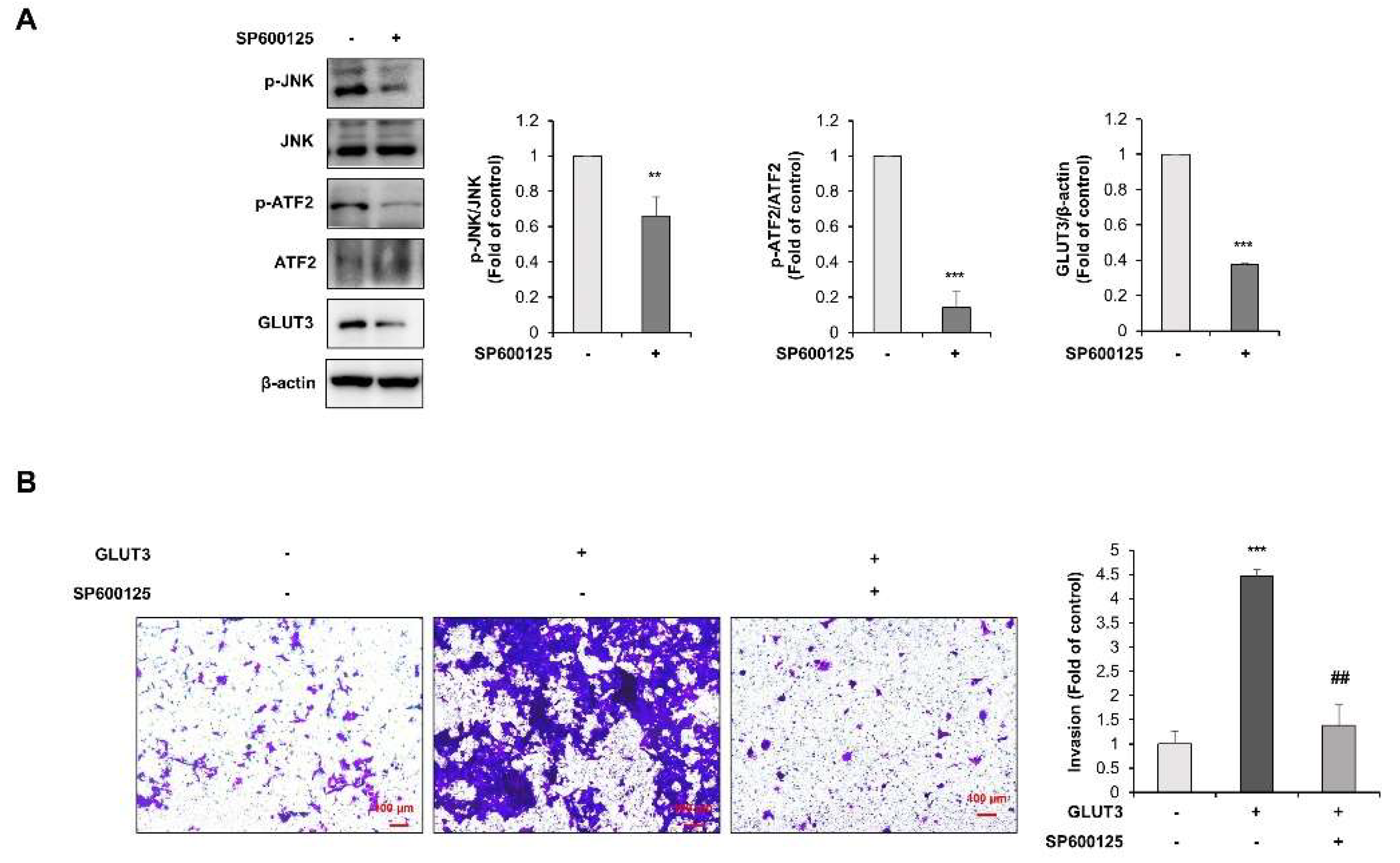 Biomedicines 10 01837 g006 550