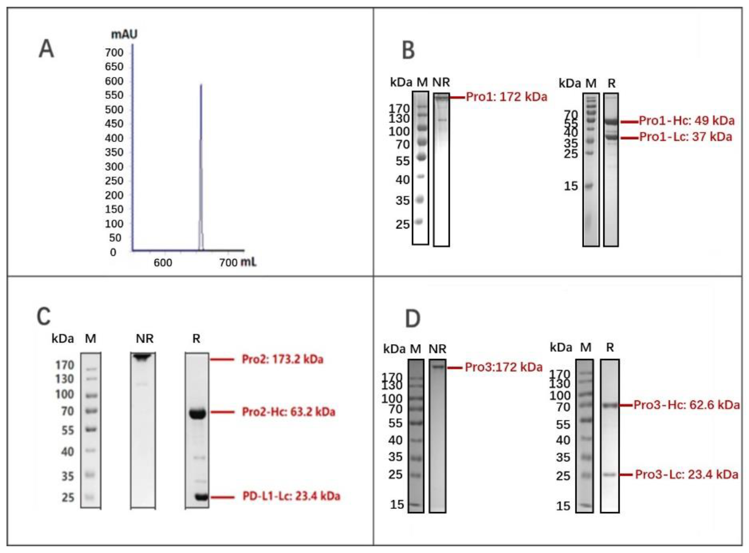Biomedicines 10 01843 g003 Biomedicines 10 01843 g003