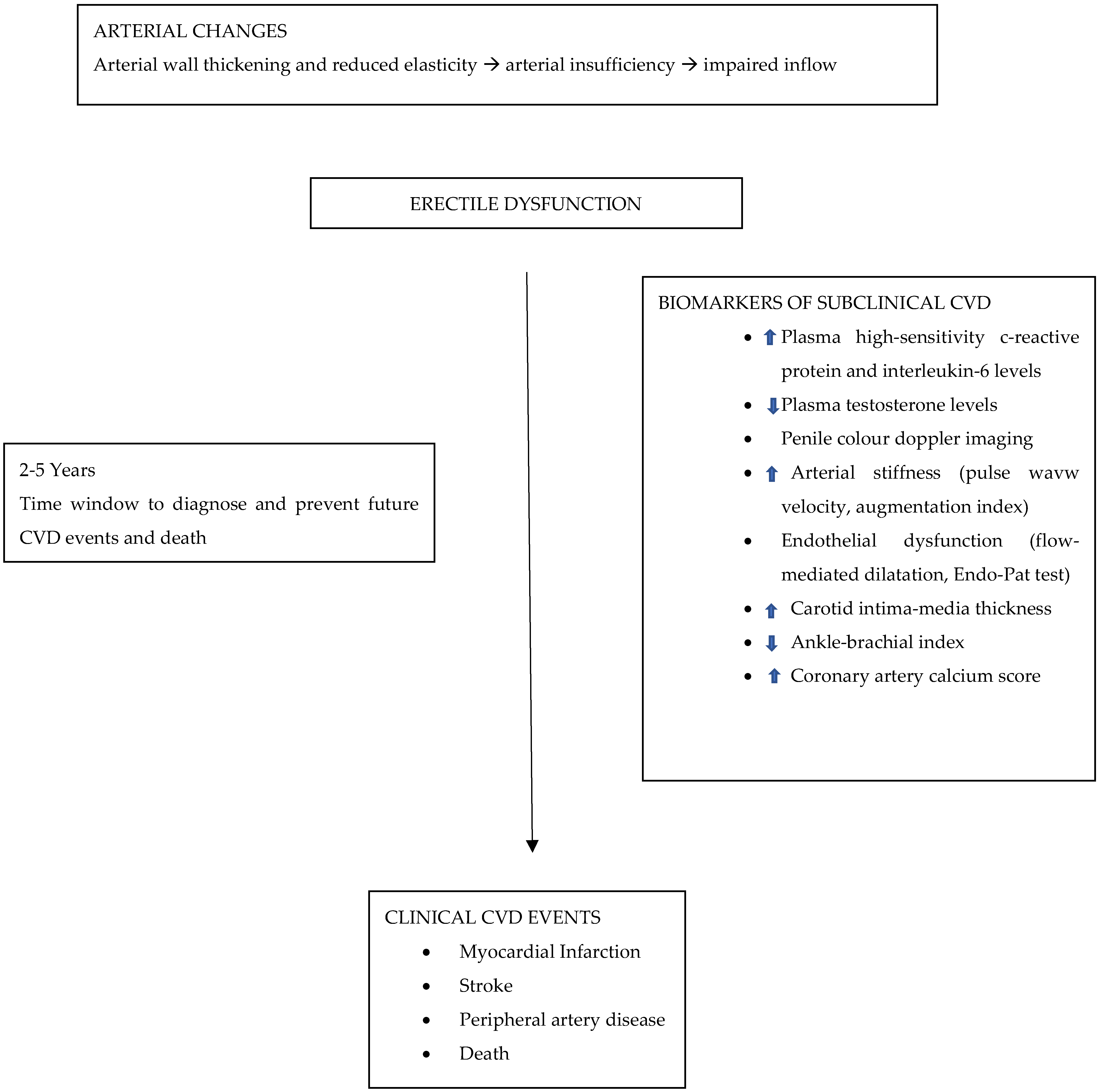 Biomedicines 10 01848 g001b Biomedicines 10 01848 g001b