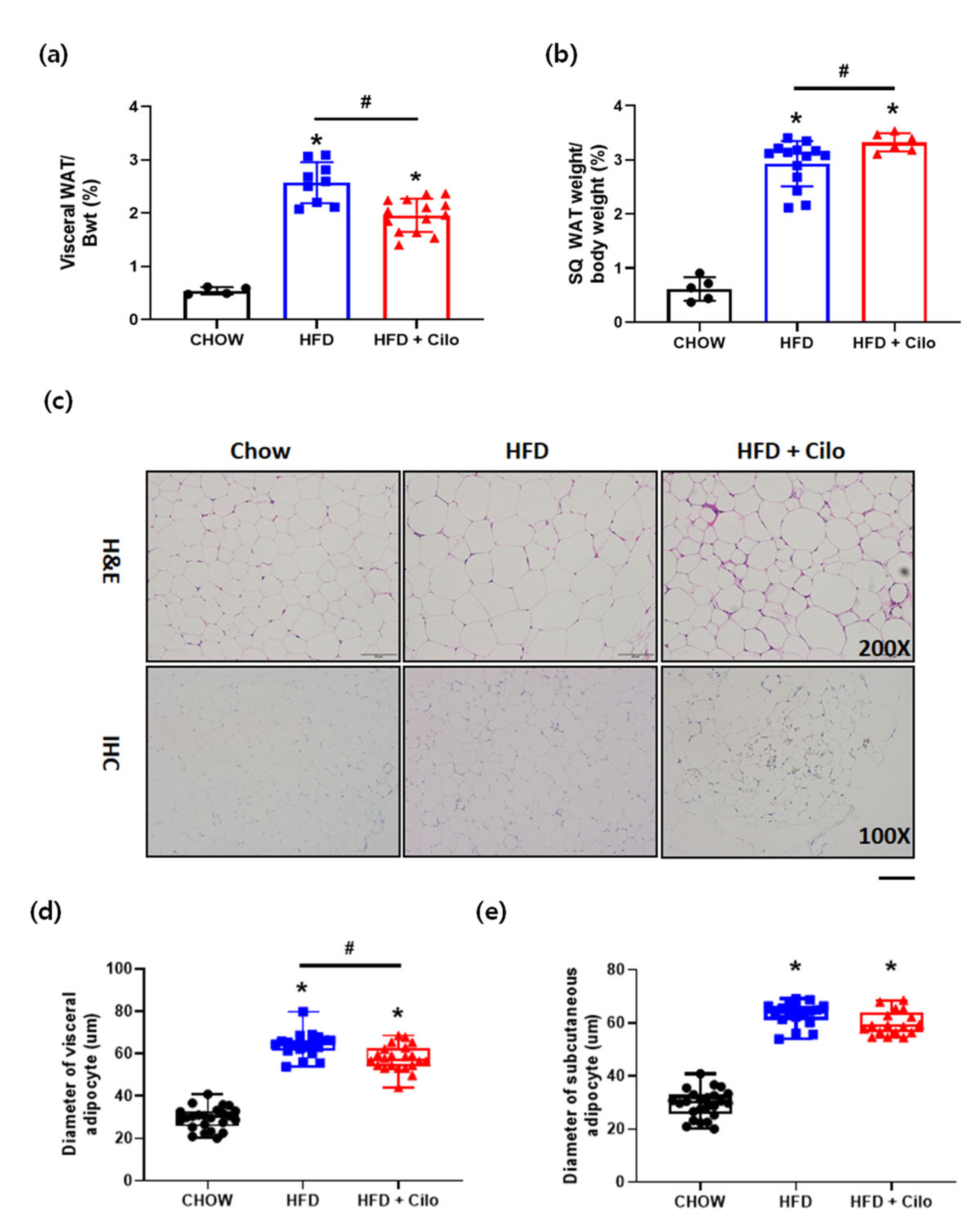 Biomedicines 10 01852 g002