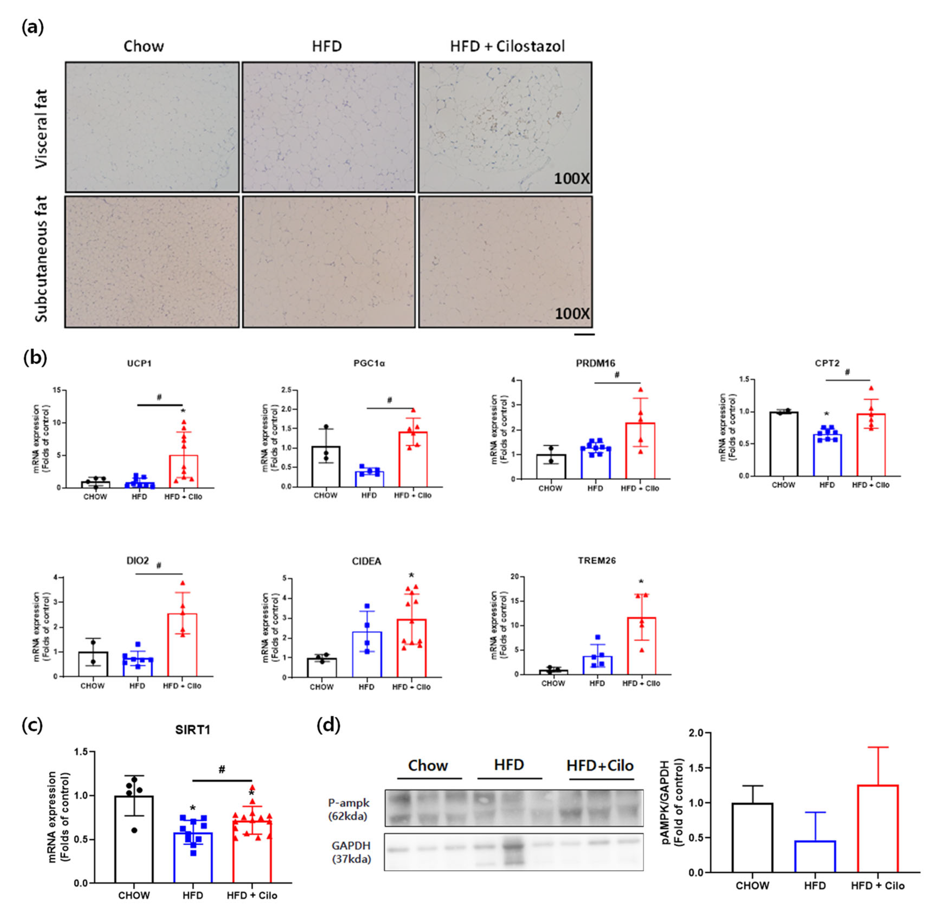 Biomedicines 10 01852 g003