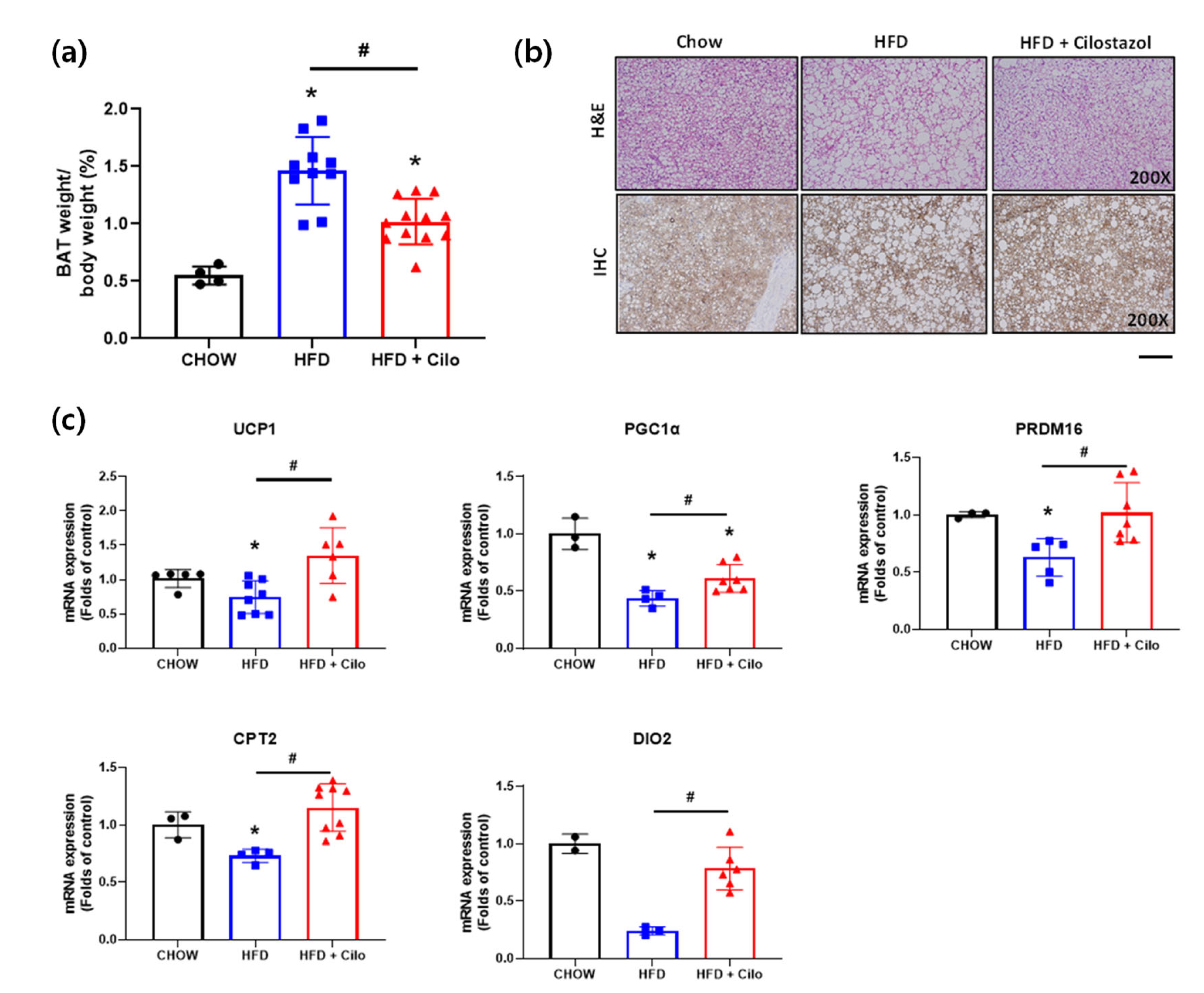 Biomedicines 10 01852 g005